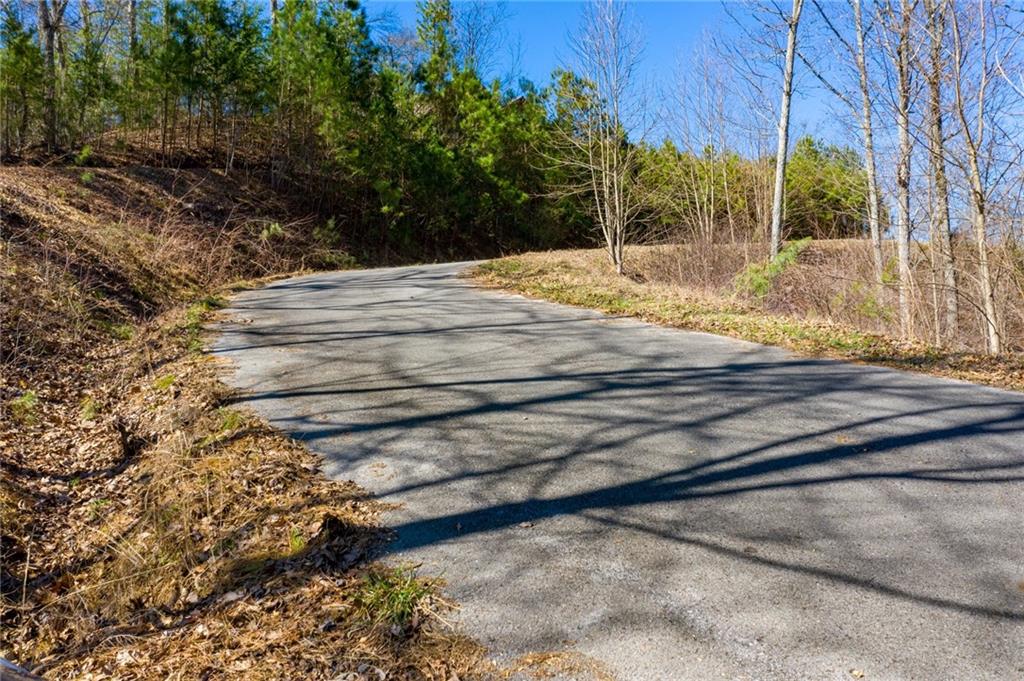 278 Carters Overlook Drive Ranger, GA 30734 - Photo 7 of 17 Gallery Image 7