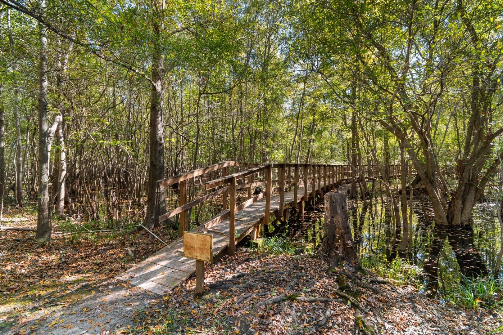 881 Rowe Pond Road Conway, SC 29526 - Photo 28 of 40