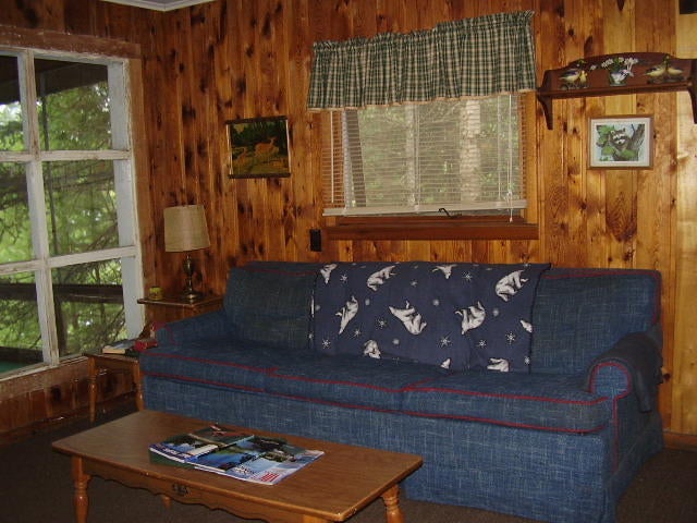 3494 North Ausable Road Mio, MI 48647 - Photo 5 of 20 Gallery Image 5