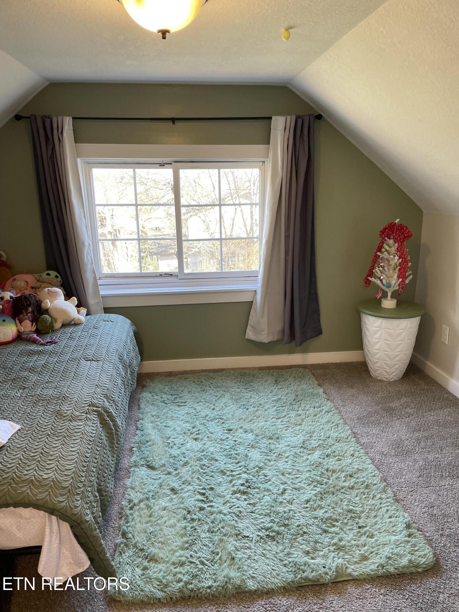 1566 Mountain Road Andersonville, TN 37705 - Photo 31 of 43 IMG_4143