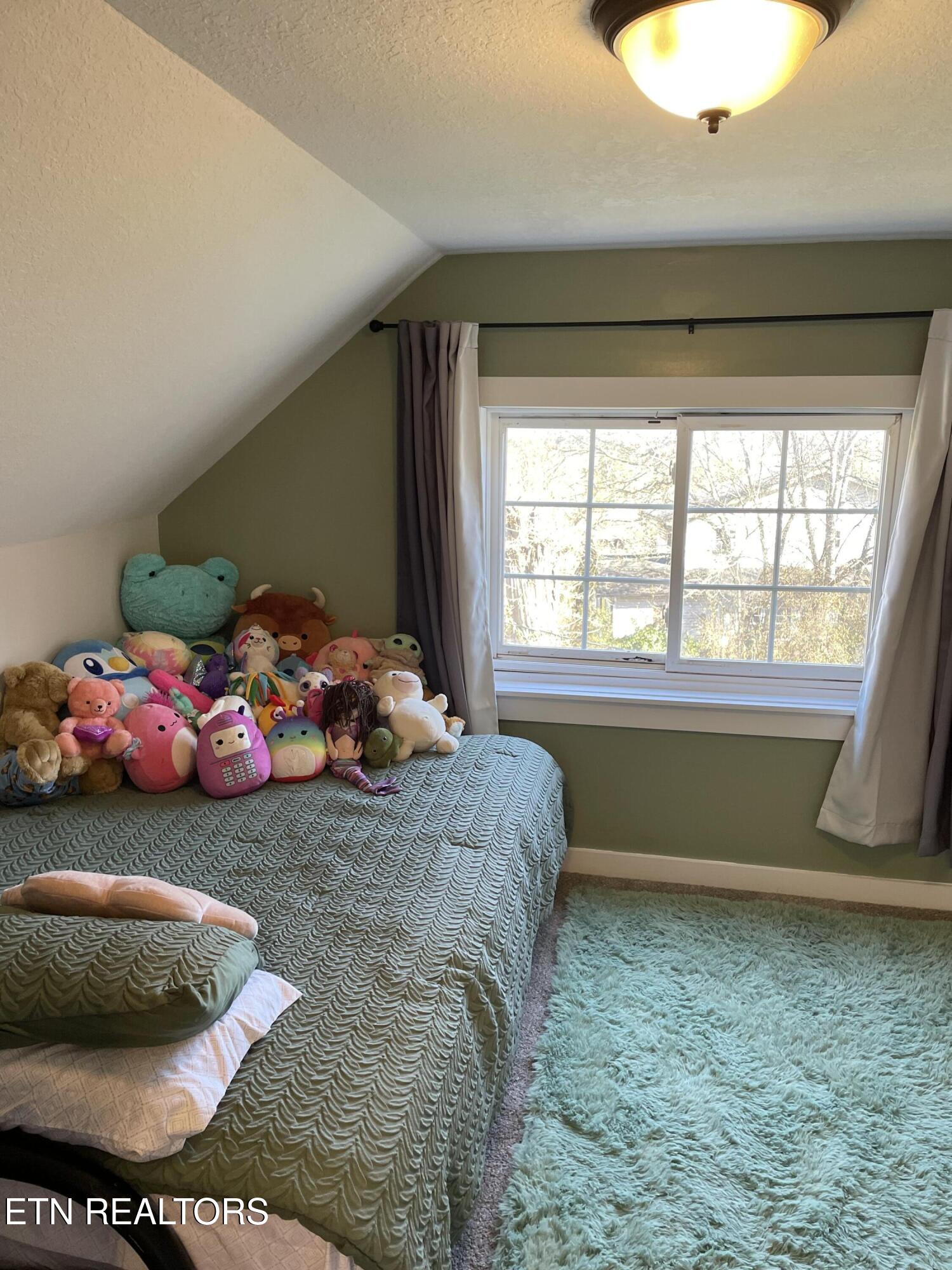 1566 Mountain Road Andersonville, TN 37705 - Photo 32 of 43 IMG_4138