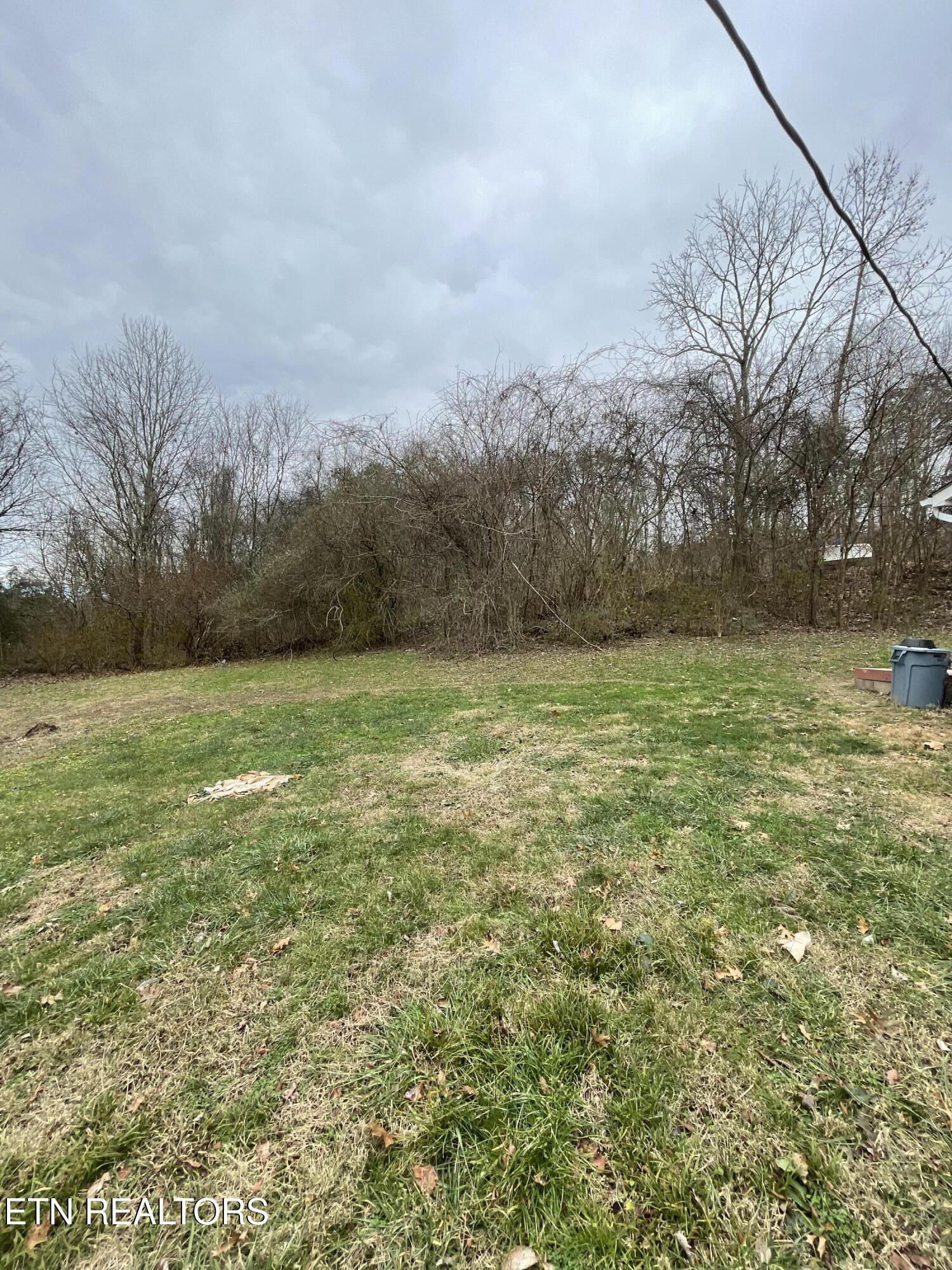 1566 Mountain Road Andersonville, TN 37705 - Photo 37 of 43 IMG_4207