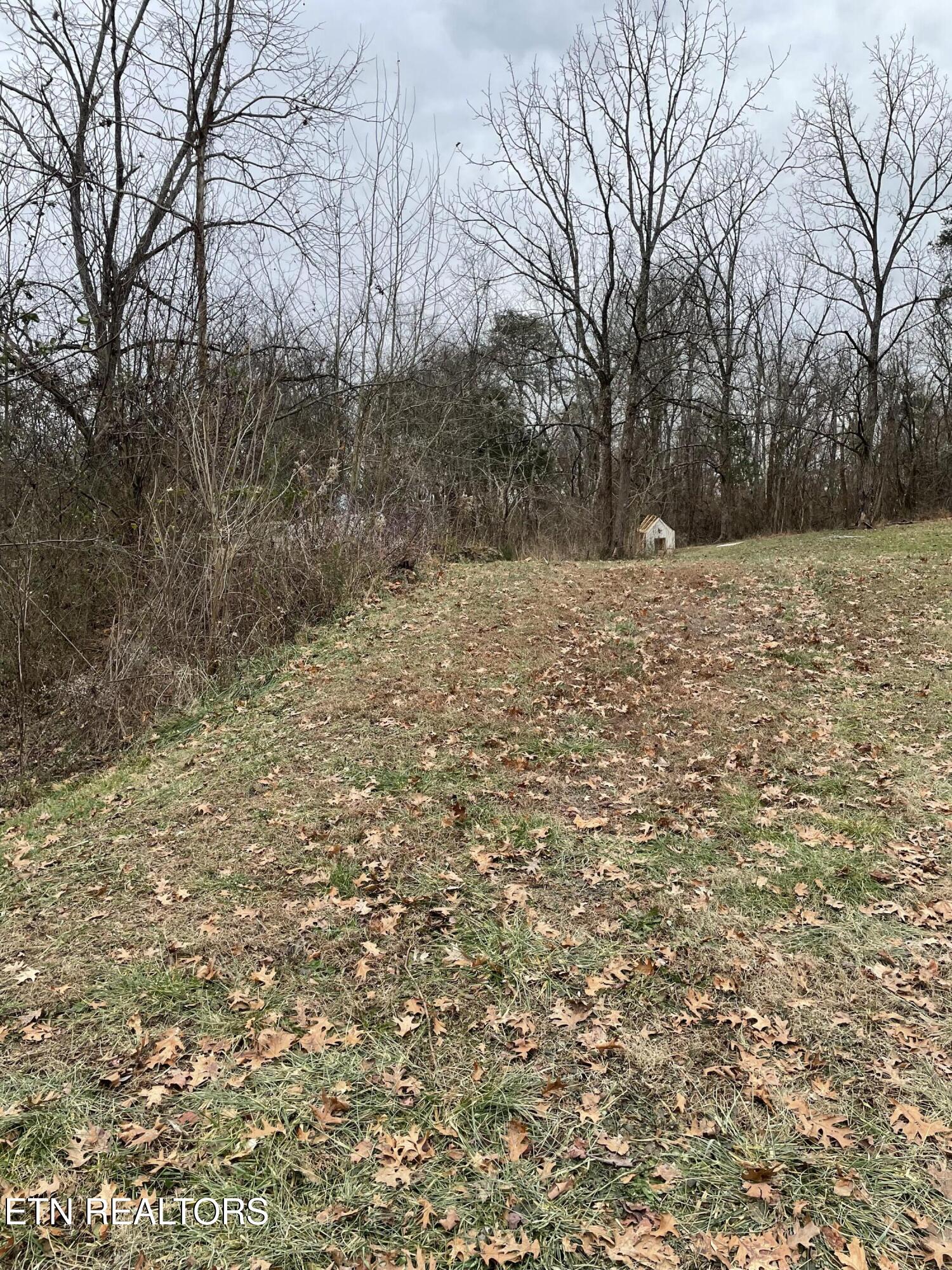 1566 Mountain Road Andersonville, TN 37705 - Photo 38 of 43 IMG_4197