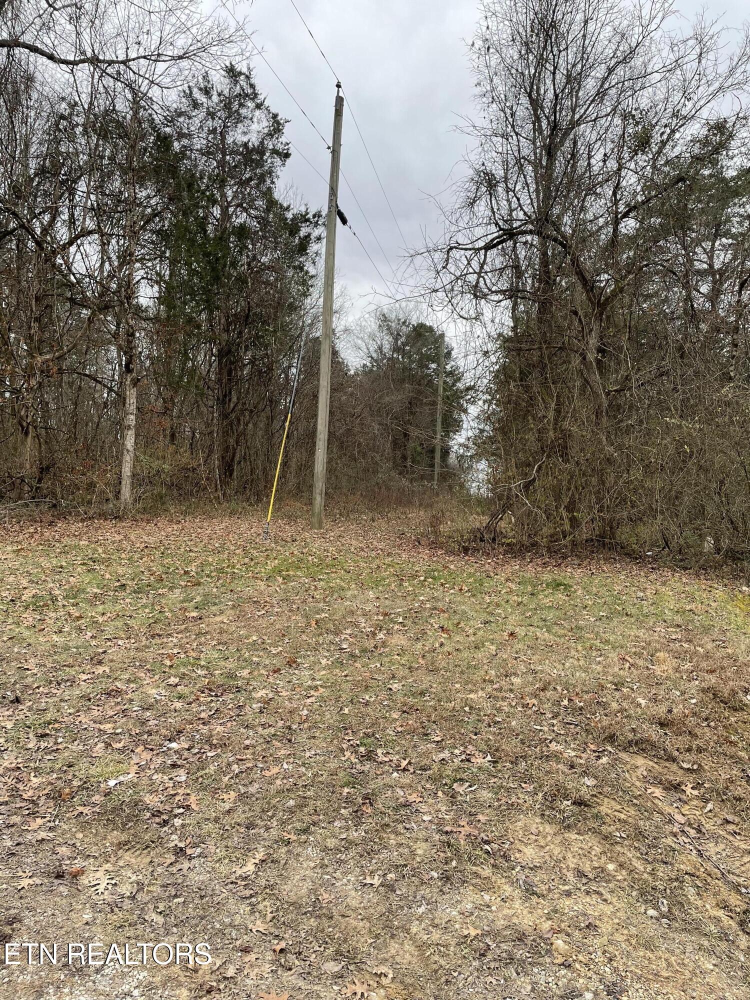 1566 Mountain Road Andersonville, TN 37705 - Photo 39 of 43 IMG_4195