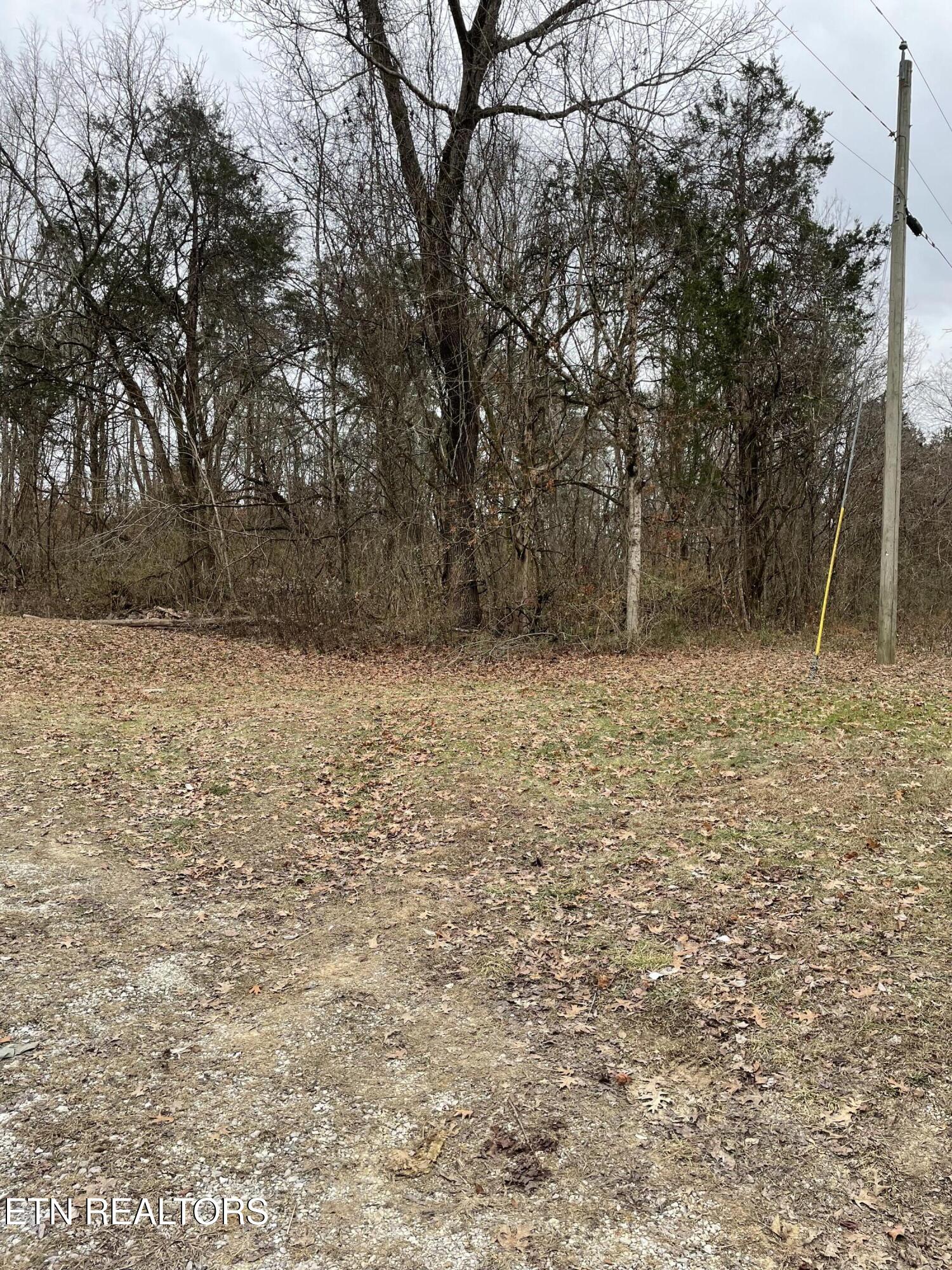 1566 Mountain Road Andersonville, TN 37705 - Photo 40 of 43 IMG_4194