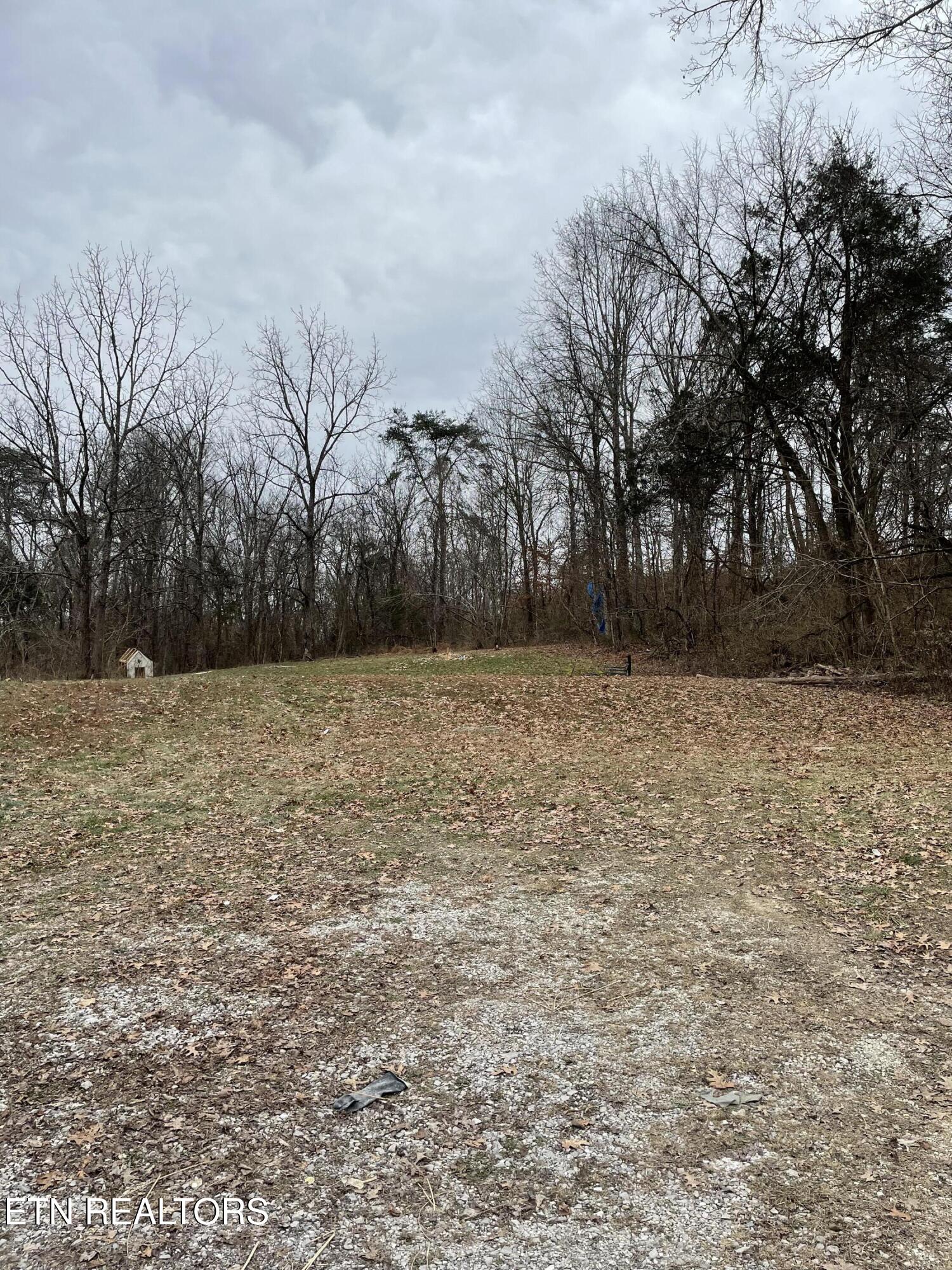 1566 Mountain Road Andersonville, TN 37705 - Photo 41 of 43 IMG_4192