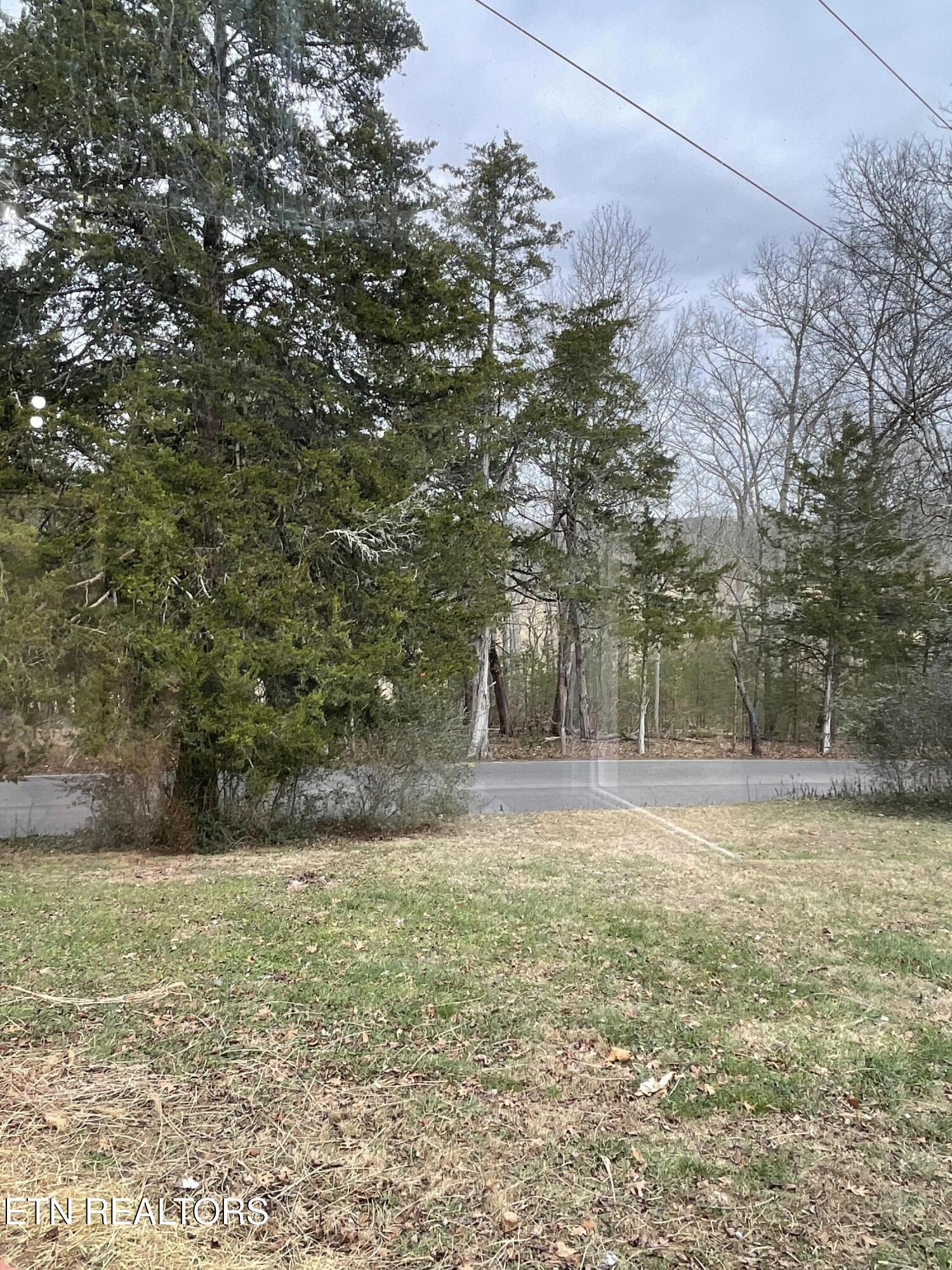 1566 Mountain Road Andersonville, TN 37705 - Photo 43 of 43 IMG_4186