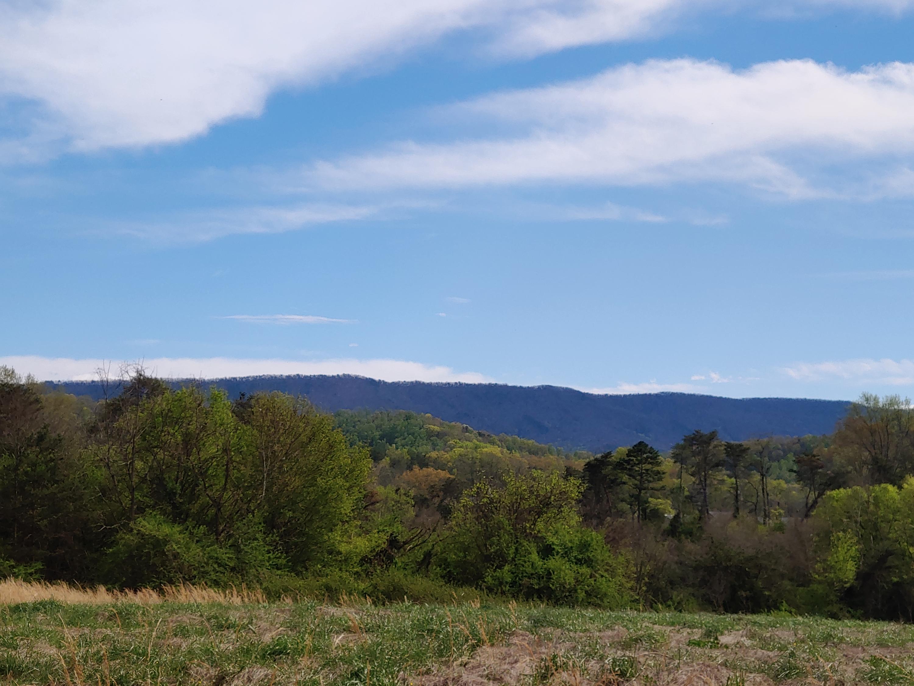 New Blockhouse Road Maryville, TN 37803 - Photo 1 of 9 20200404_154321