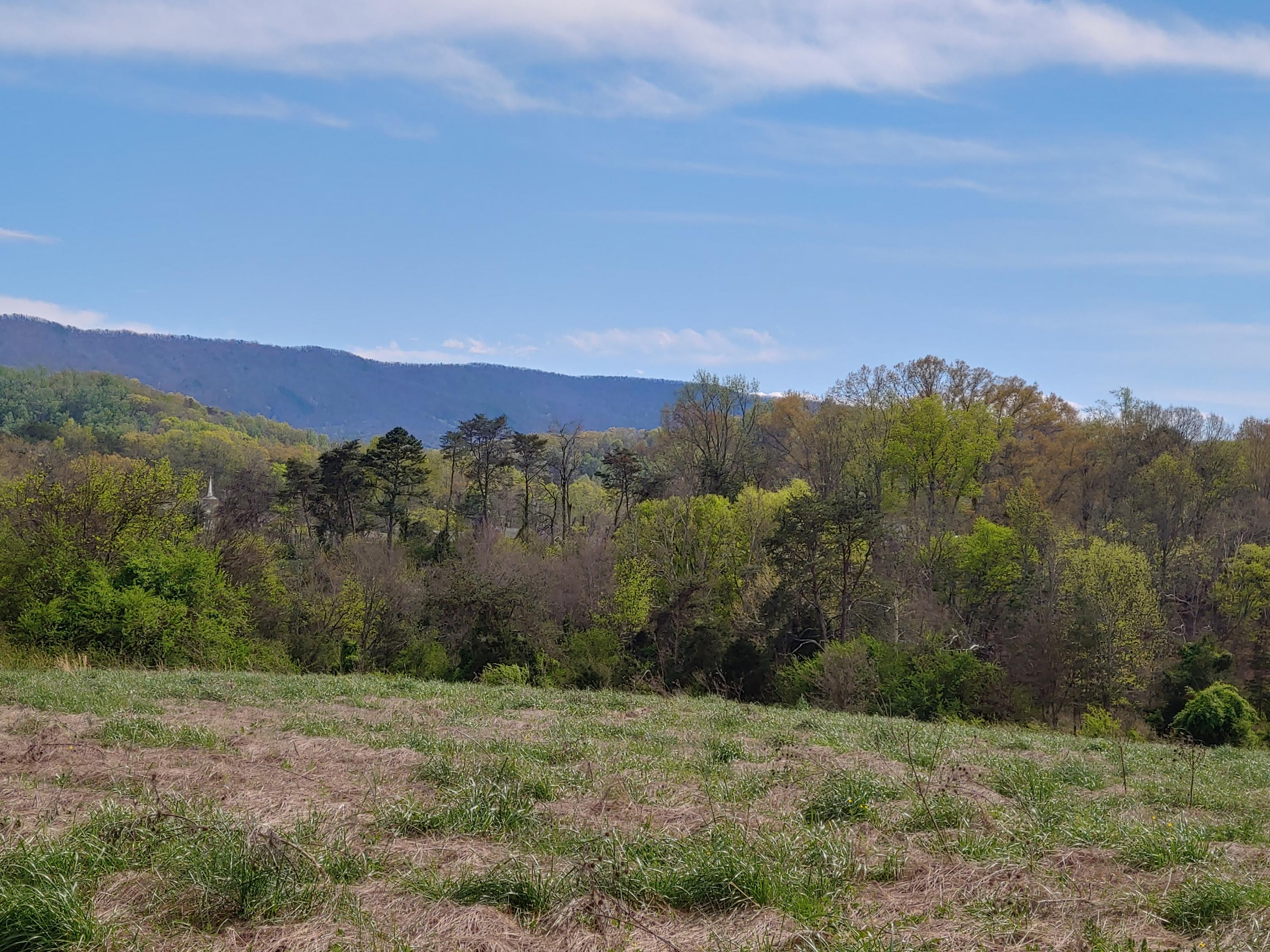 New Blockhouse Road Maryville, TN 37803 - Photo 2 of 9 20200404_154502_HDR