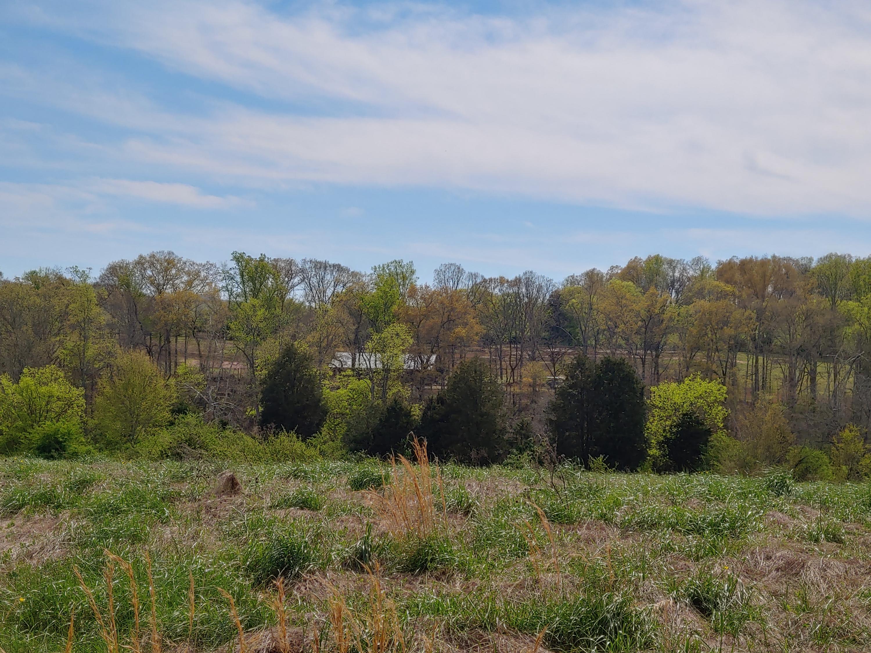 New Blockhouse Road Maryville, TN 37803 - Photo 3 of 9 20200404_154329_HDR