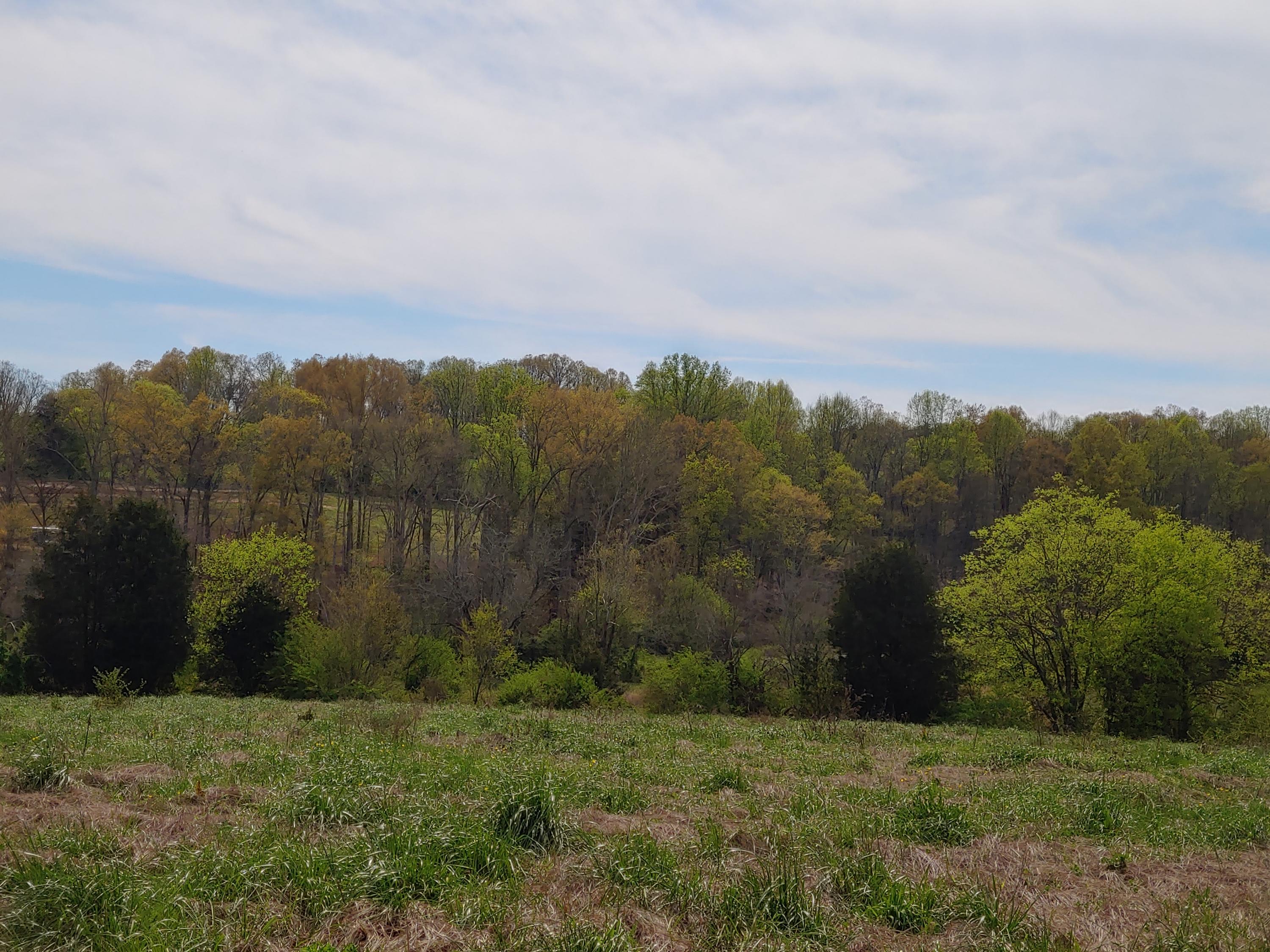 New Blockhouse Road Maryville, TN 37803 - Photo 5 of 9 20200404_154506_HDR