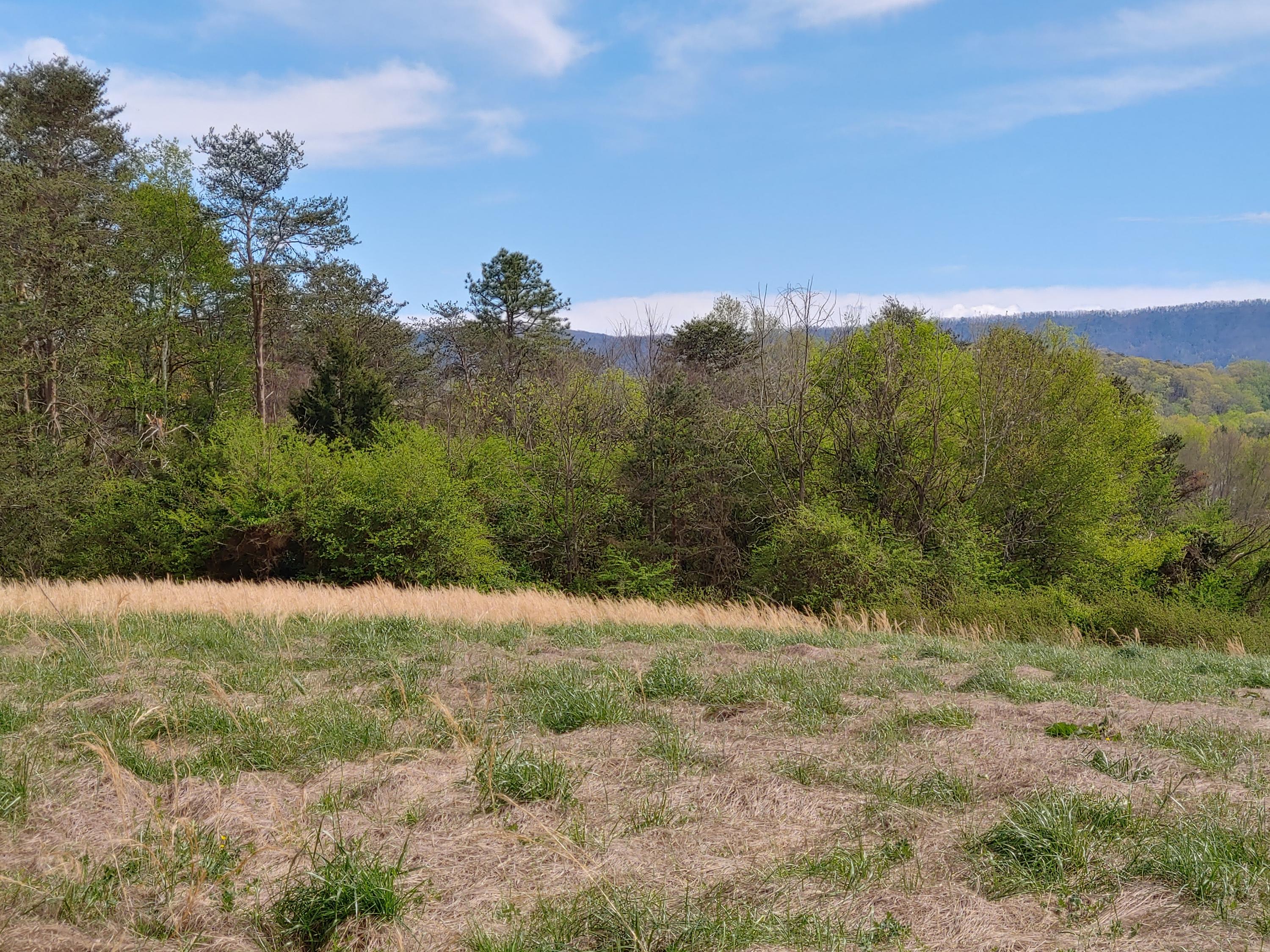 New Blockhouse Road Maryville, TN 37803 - Photo 6 of 9 20200404_154511_HDR