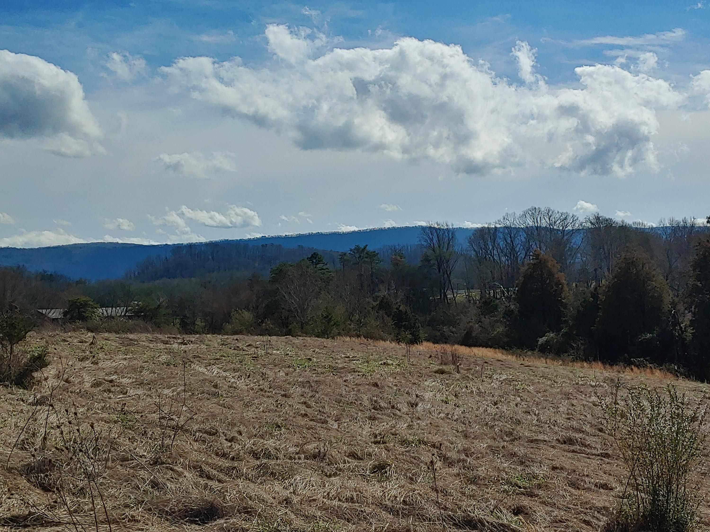 New Blockhouse Road Maryville, TN 37803 - Photo 7 of 9 20200225_132617_HDR
