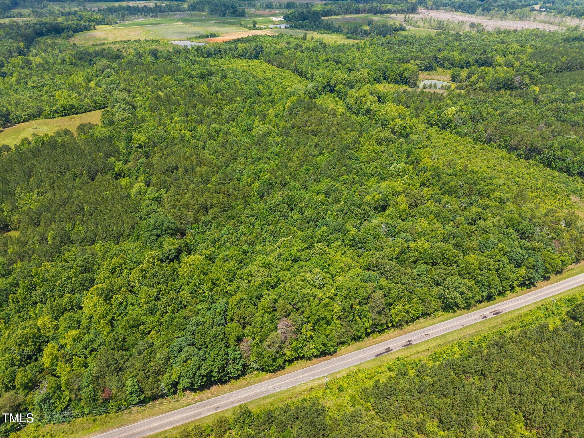 0 Robert Morgan Road Bullock, NC 27507 - Photo 7 of 11 a view of a green yard with a small yard