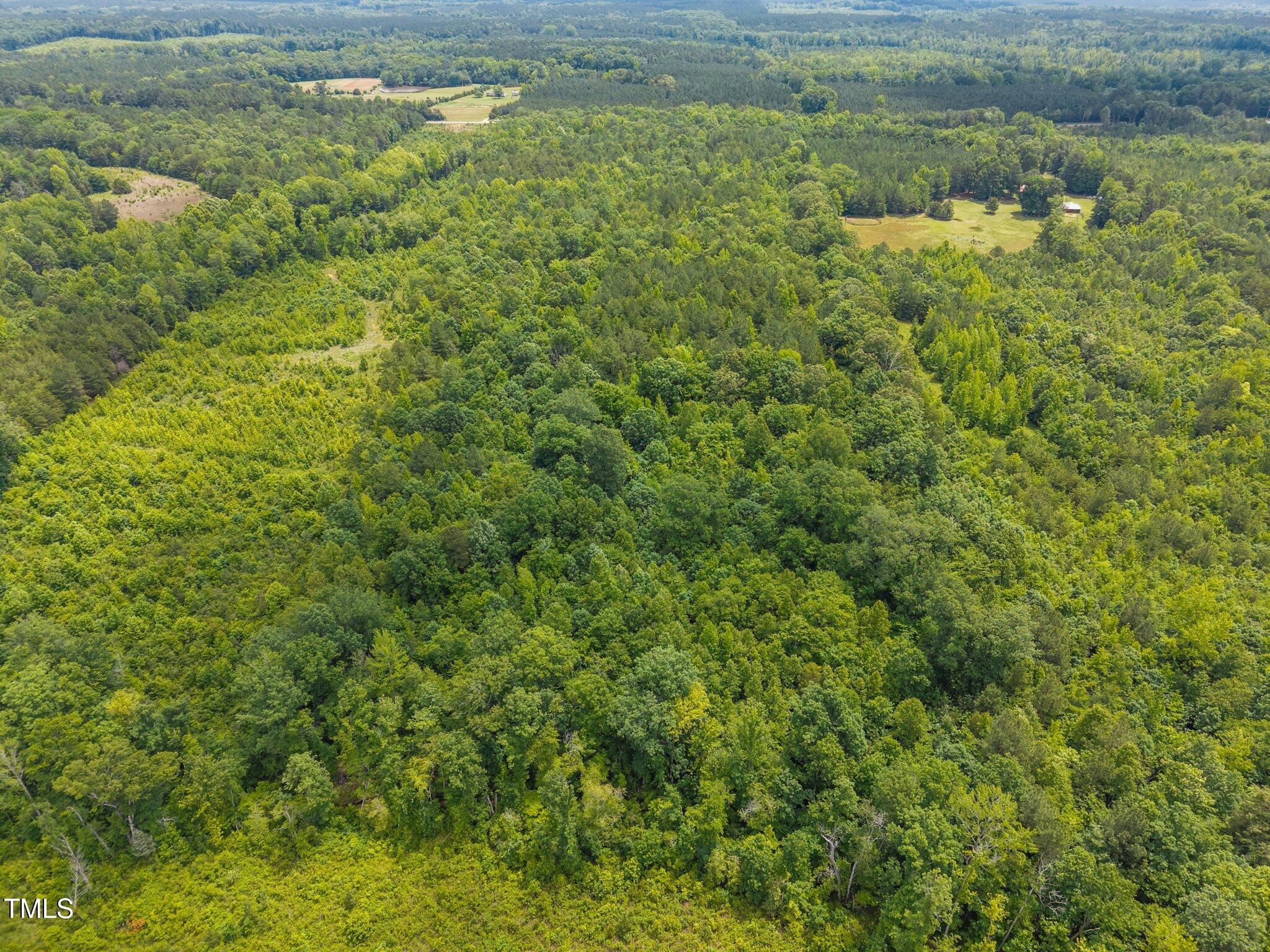 0 Robert Morgan Road Bullock, NC 27507 - Photo 9 of 11