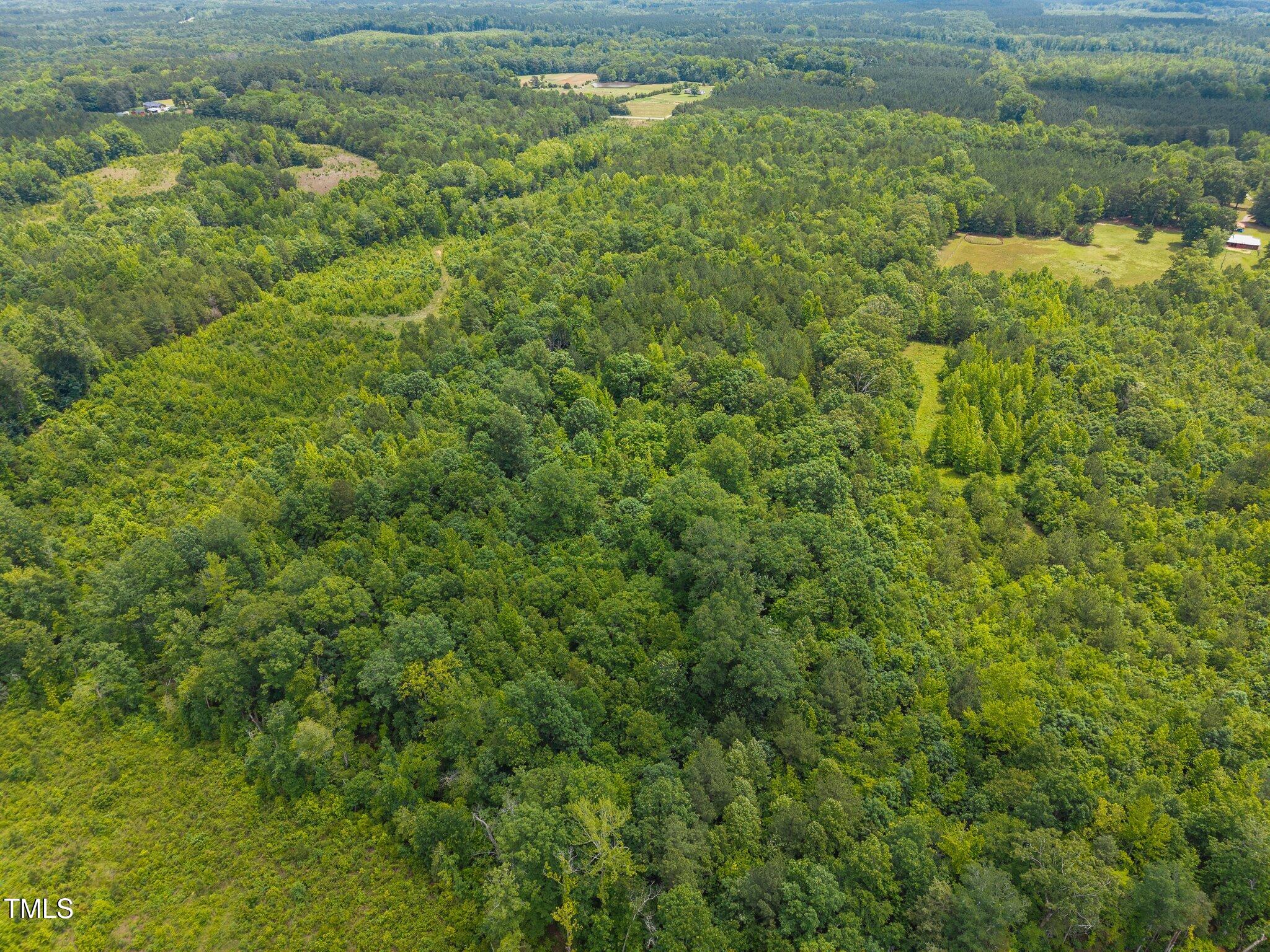 0 Robert Morgan Road Bullock, NC 27507 - Photo 10 of 11 a view of a lake view with houses