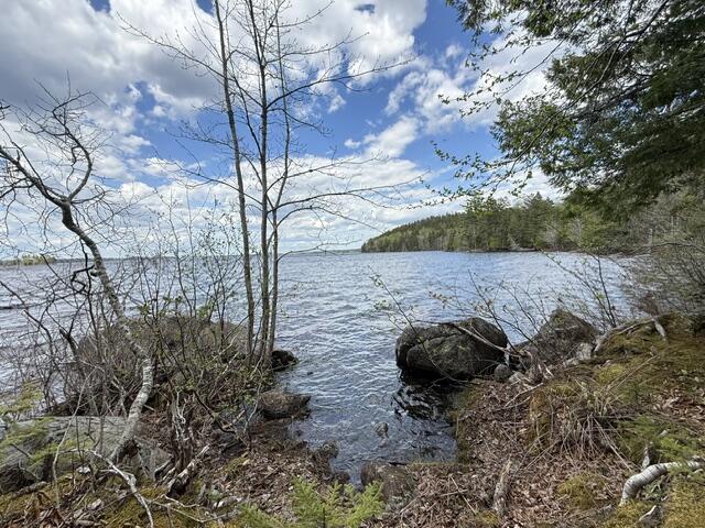 Lot12-part Indian Trail Road East Machias, ME 04630 - Photo 11 of 34 IMG_9876