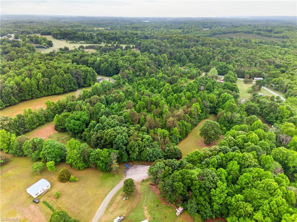 7436 Chaseford Road Liberty, NC 27298 - Photo 11 of 14