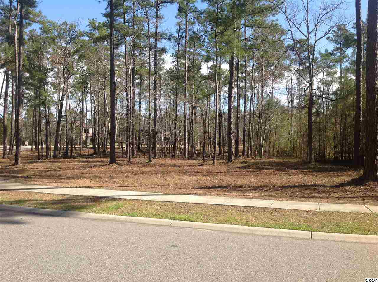Lot 458 Ellerbe Circle Myrtle Beach, SC 29588 - Photo 3 of 4 Gallery Image 3