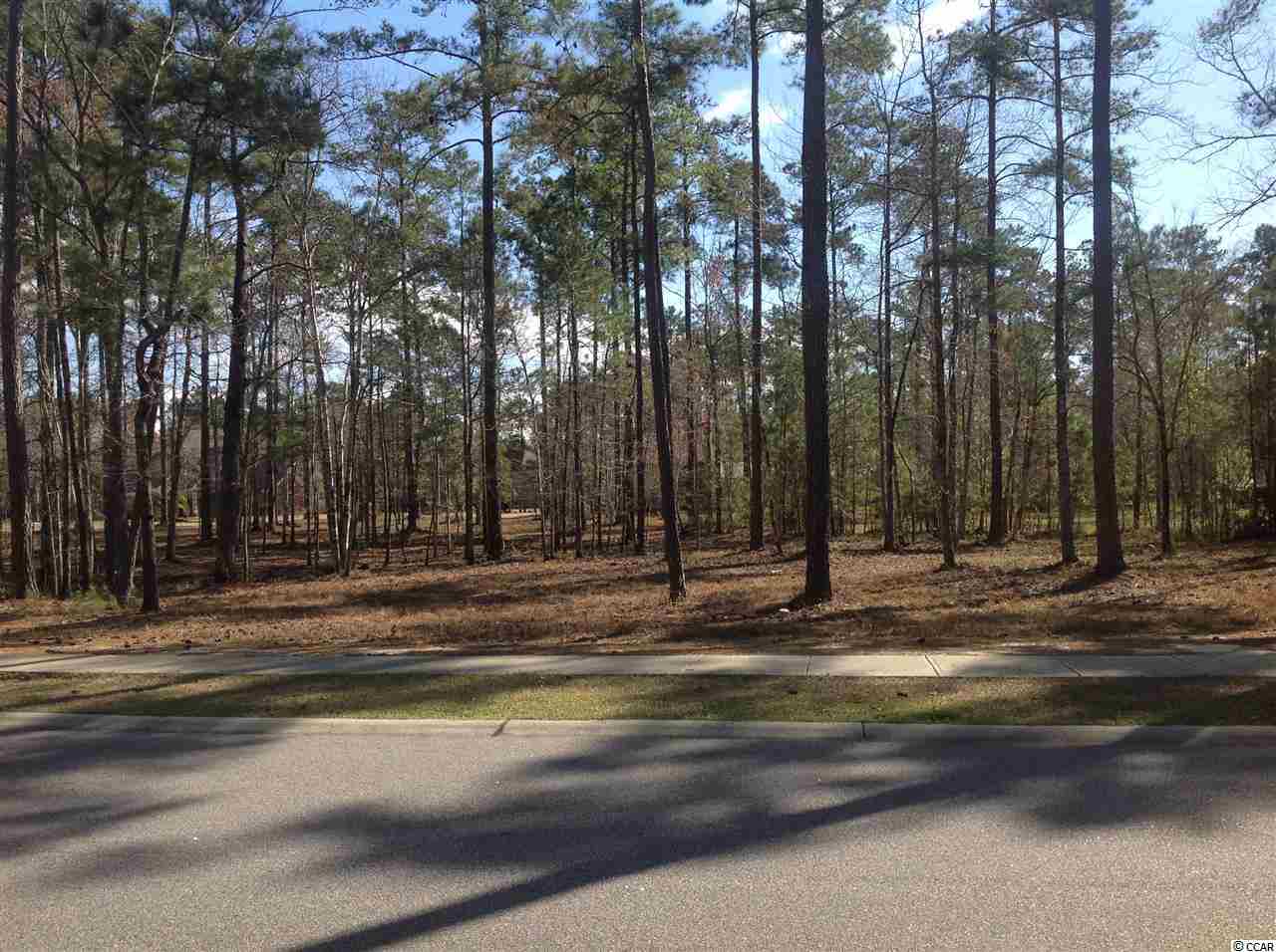 Lot 458 Ellerbe Circle Myrtle Beach, SC 29588 - Photo 4 of 4 Gallery Image 4