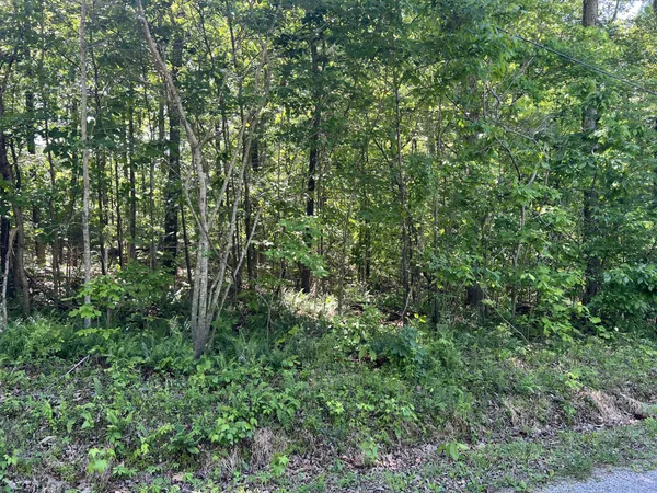 $27,500 | 114 Swan Bay Estates Road, Buchanan, TN 38222