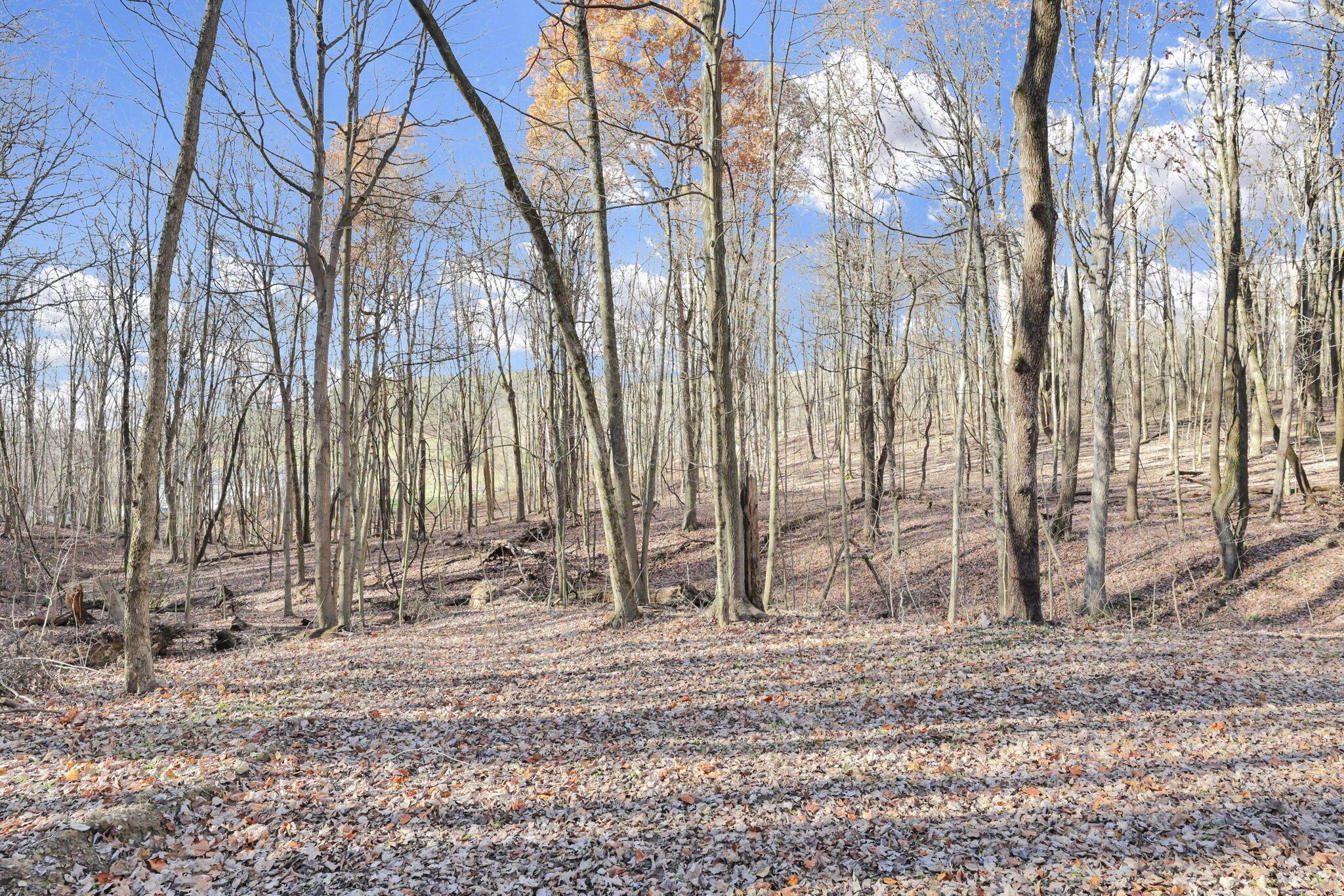 0 Mulberry Road Southeast Mount Perry, OH 43760 - Photo 2 of 9 36-web-or-mls-011A9860