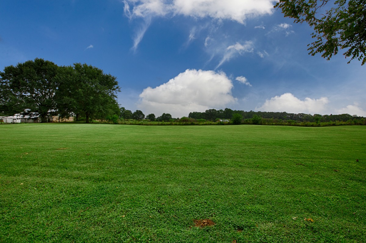 61 Slaughter Pen Road Ardmore, TN 38449 - Photo 23 of 23 a view of a golf course with a lake