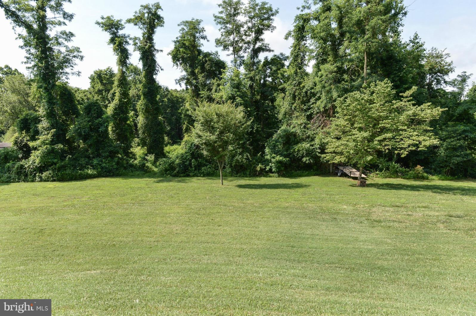 148 Carters Mill Road Elkton, MD 21921 - Photo 3 of 30 Exterior (Rear)