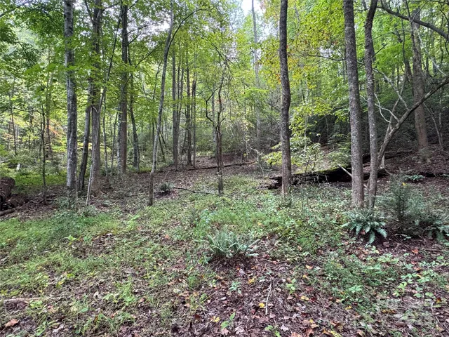a view of outdoor space and green space