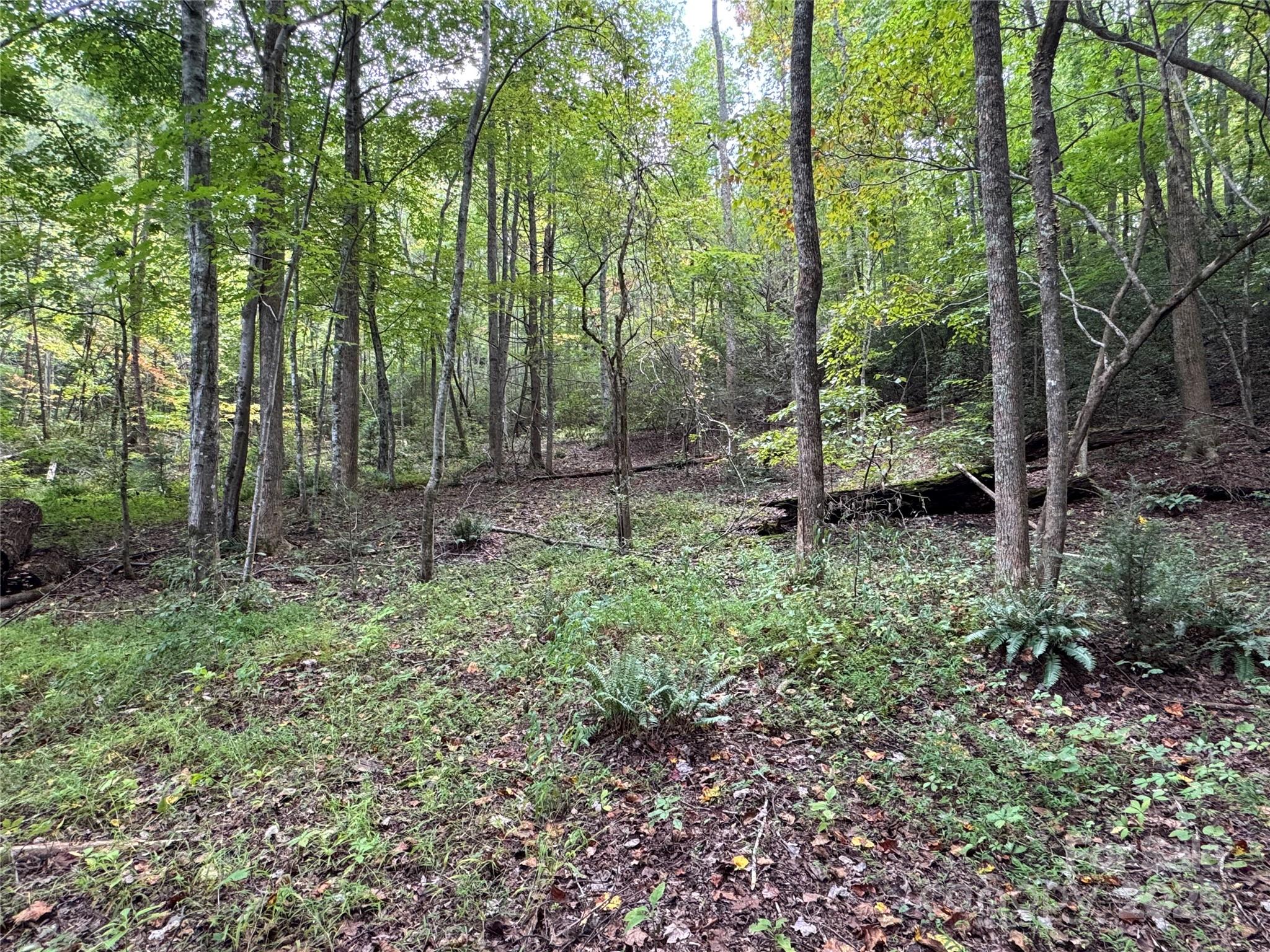 36 Bee Tree Point Court Lake Lure, NC 28746 - Photo 11 of 38 a backyard of a house with lots of green space