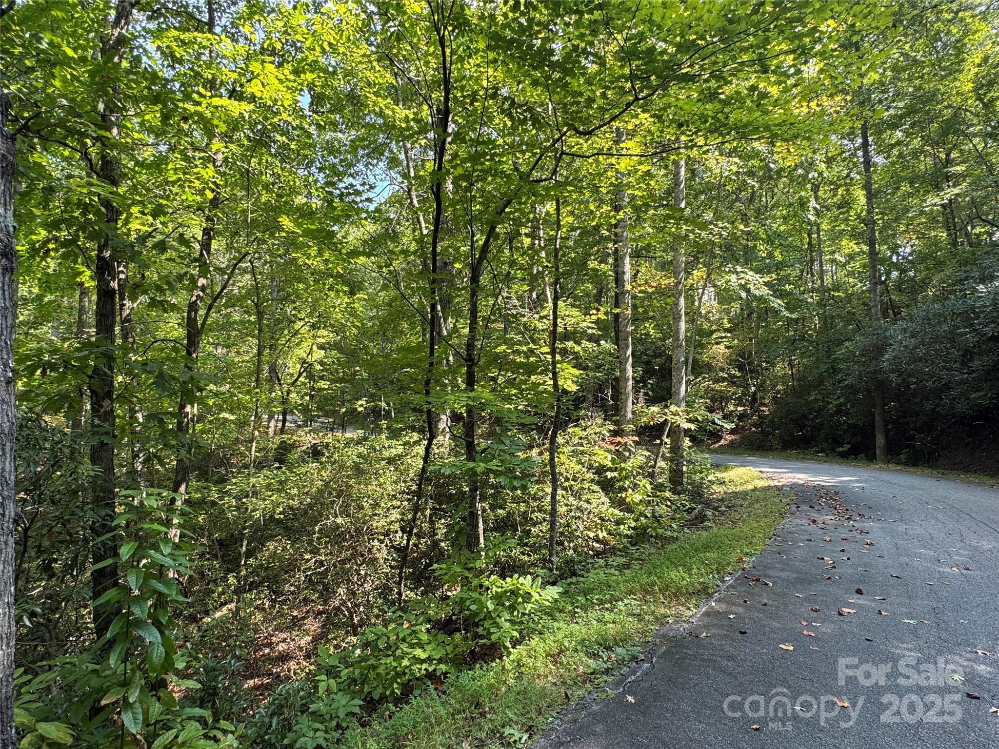 36 Bee Tree Point Court Lake Lure, NC 28746 - Photo 15 of 38 a view of yard