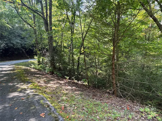 a view of yard with green space