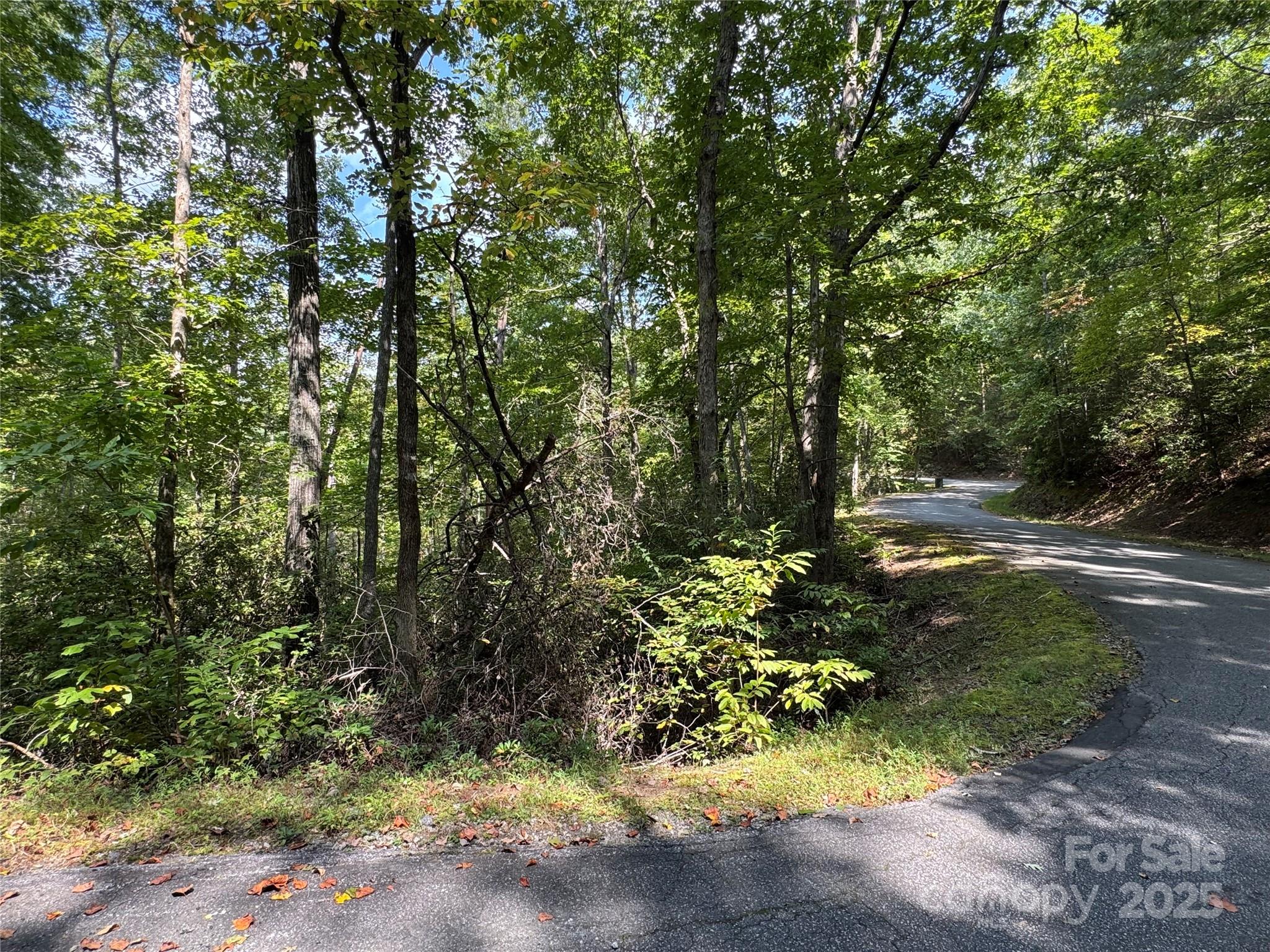36 Bee Tree Point Court Lake Lure, NC 28746 - Photo 18 of 38 a view of yard with green space