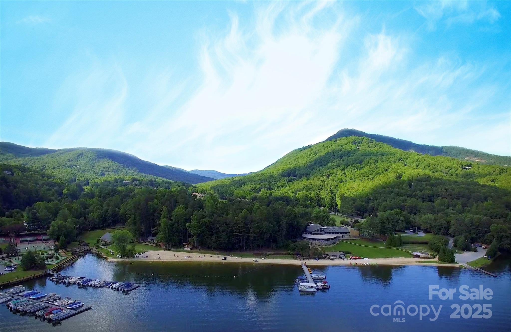 36 Bee Tree Point Court Lake Lure, NC 28746 - Photo 24 of 38 a view of a lake with a mountain in the background