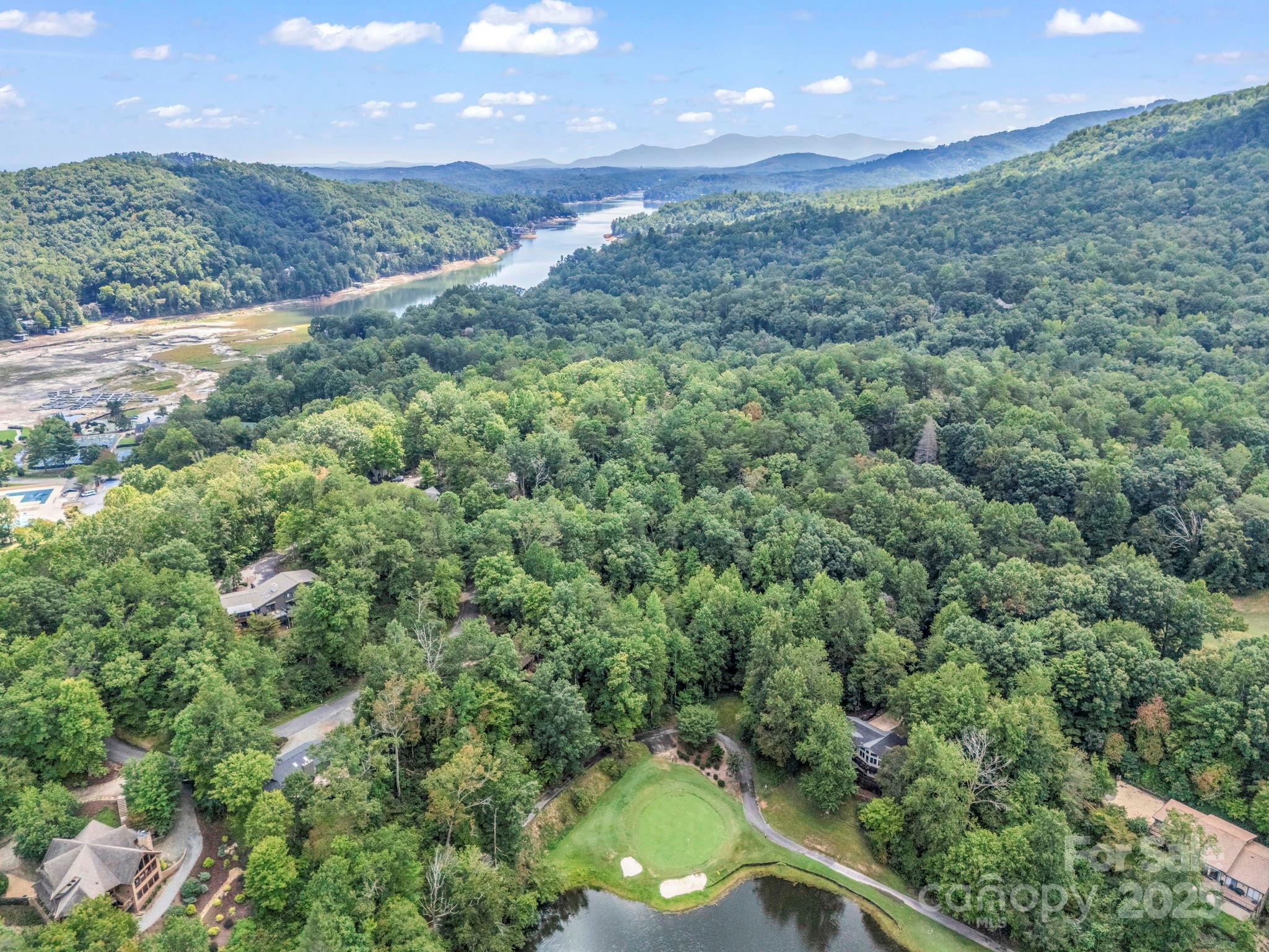 36 Bee Tree Point Court Lake Lure, NC 28746 - Photo 32 of 38 an aerial view of a houses
