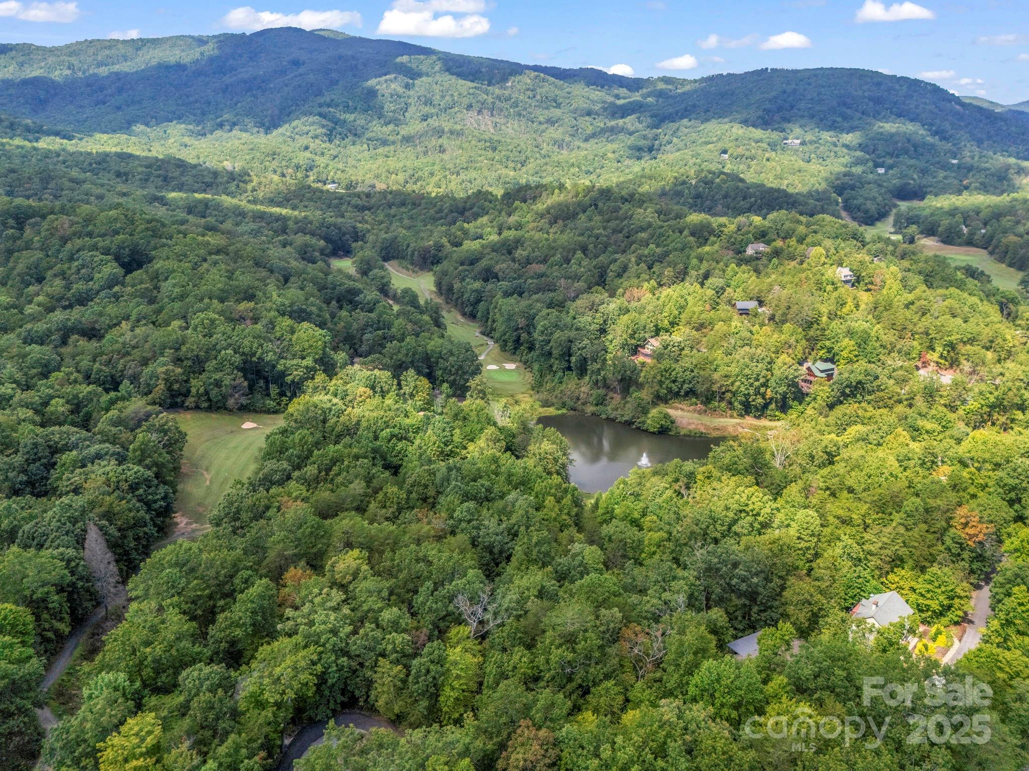 36 Bee Tree Point Court Lake Lure, NC 28746 - Photo 33 of 38 a view of a lush green forest with lots of trees