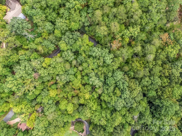 an aerial view of residential house with outdoor space and trees all around