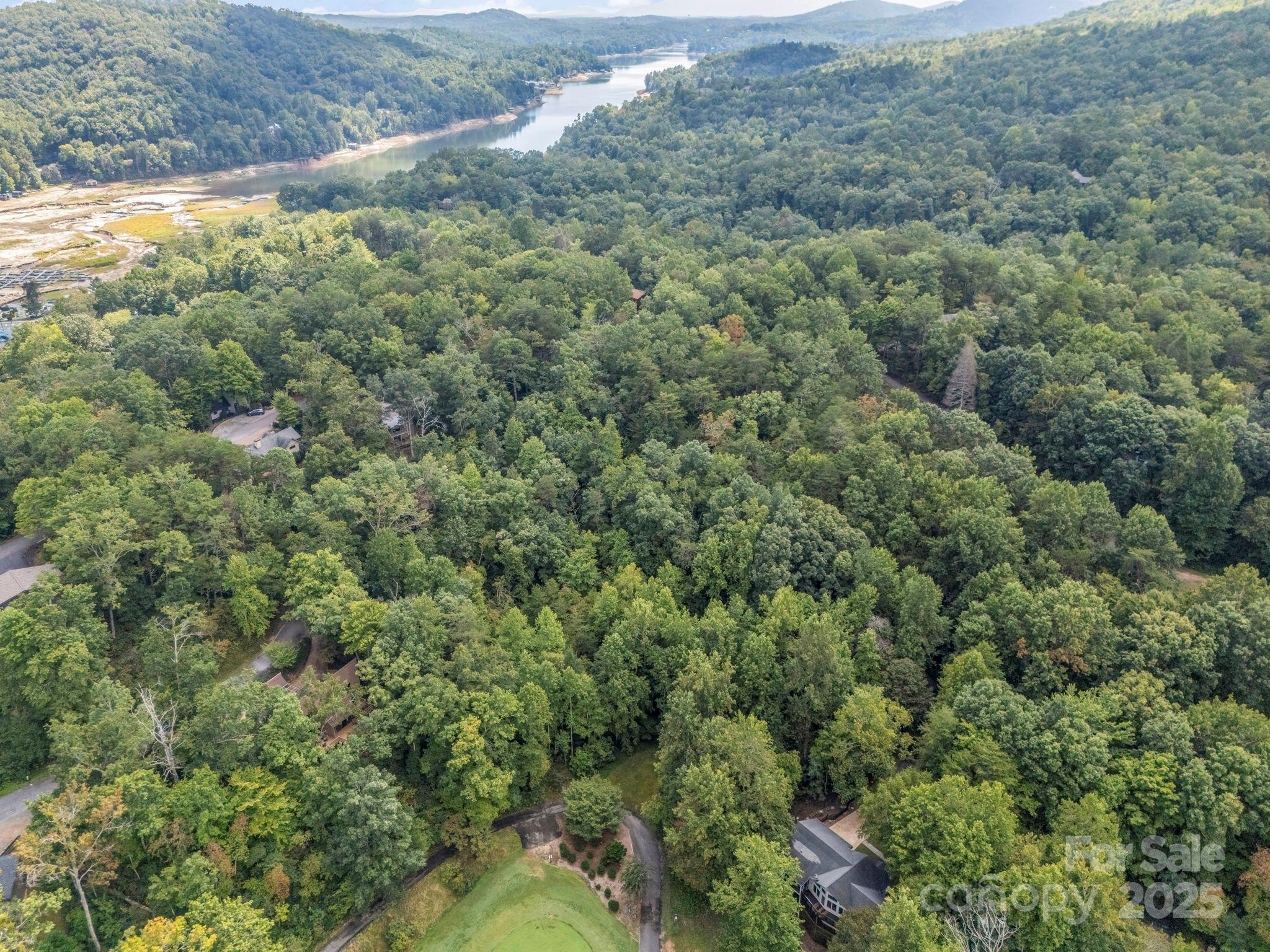 36 Bee Tree Point Court Lake Lure, NC 28746 - Photo 37 of 38 a view of a forest with a street