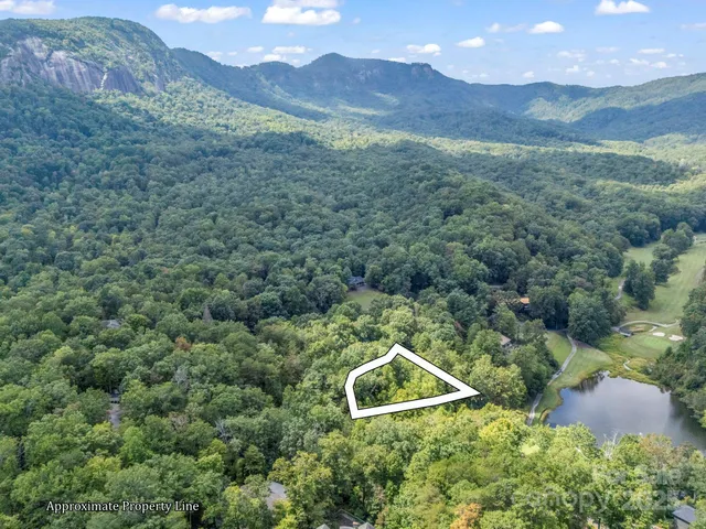 a view of a lush green hillside and a houses