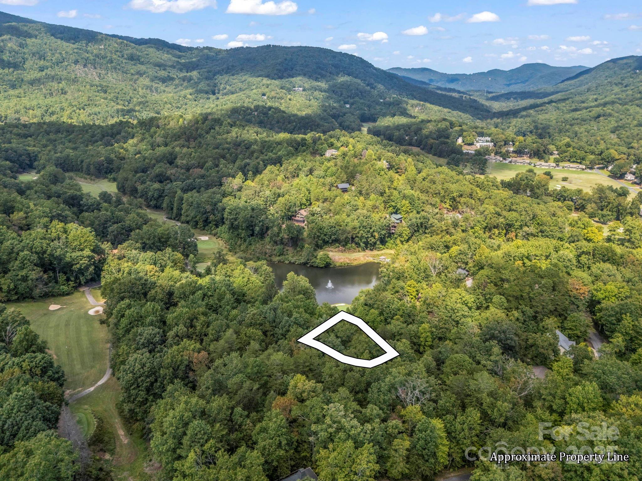 36 Bee Tree Point Court Lake Lure, NC 28746 - Photo 5 of 38 a view of a lake with a mountain