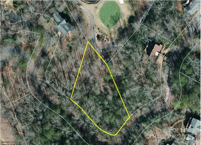 a view of a park with large trees