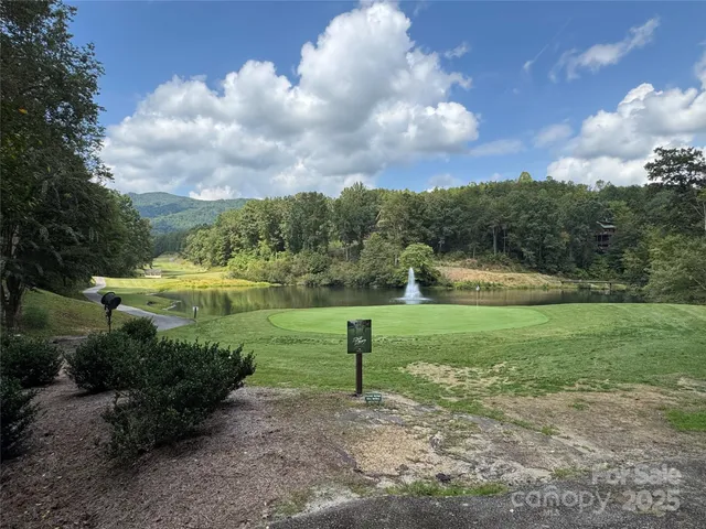 a view of a backyard with potted plants and large trees