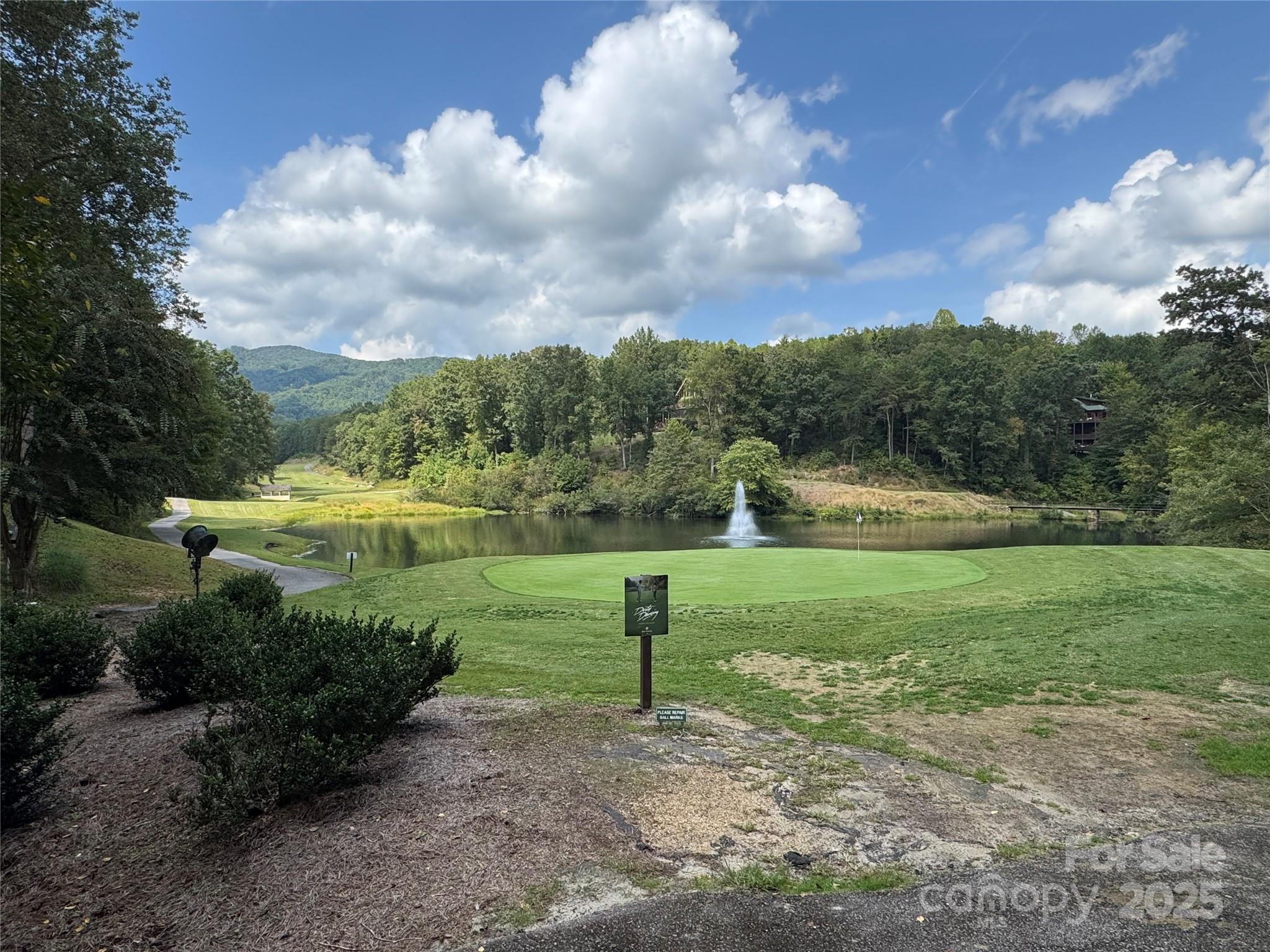 36 Bee Tree Point Court Lake Lure, NC 28746 - Photo 8 of 38 a view of a park with large trees