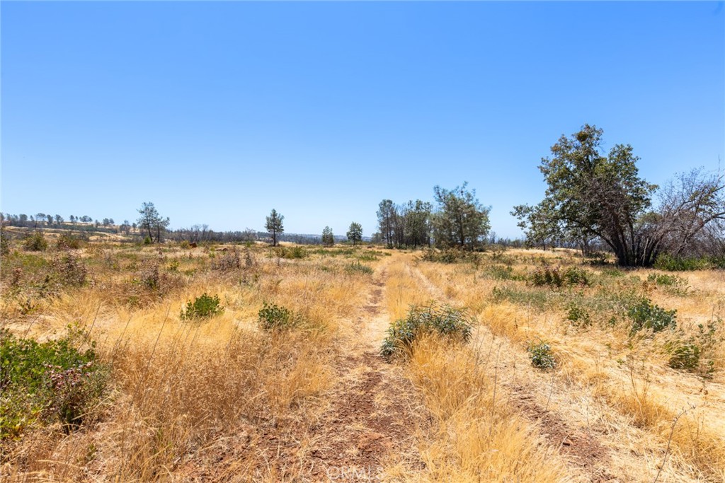 1 Cohasset Road Chico, CA 95973 - Photo 4 of 32 Gallery Image 4