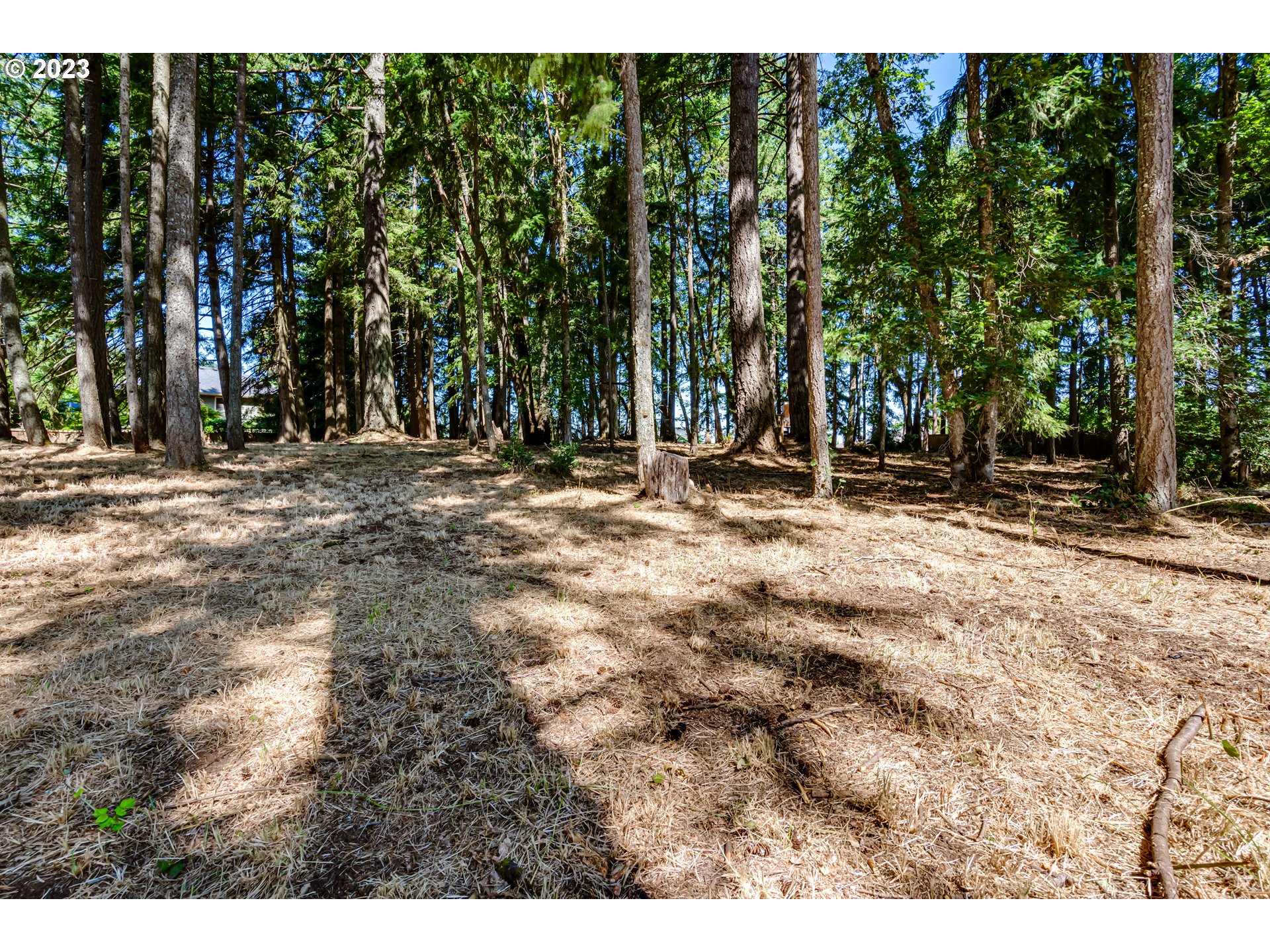 3321 Michael Lane Eugene, OR 97405 - Photo 43 of 46 a backyard of a house with large trees and outdoor space