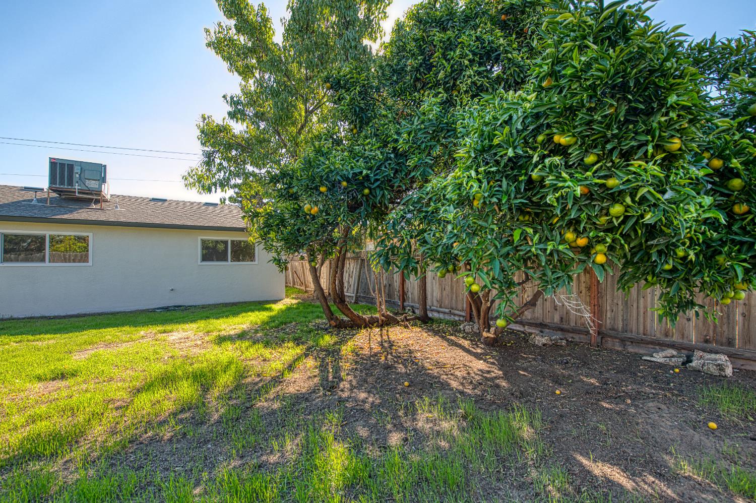 1747 Gettysburg Avenue Clovis, CA 93611 - Photo 34 of 39 a view of a backyard with a tree