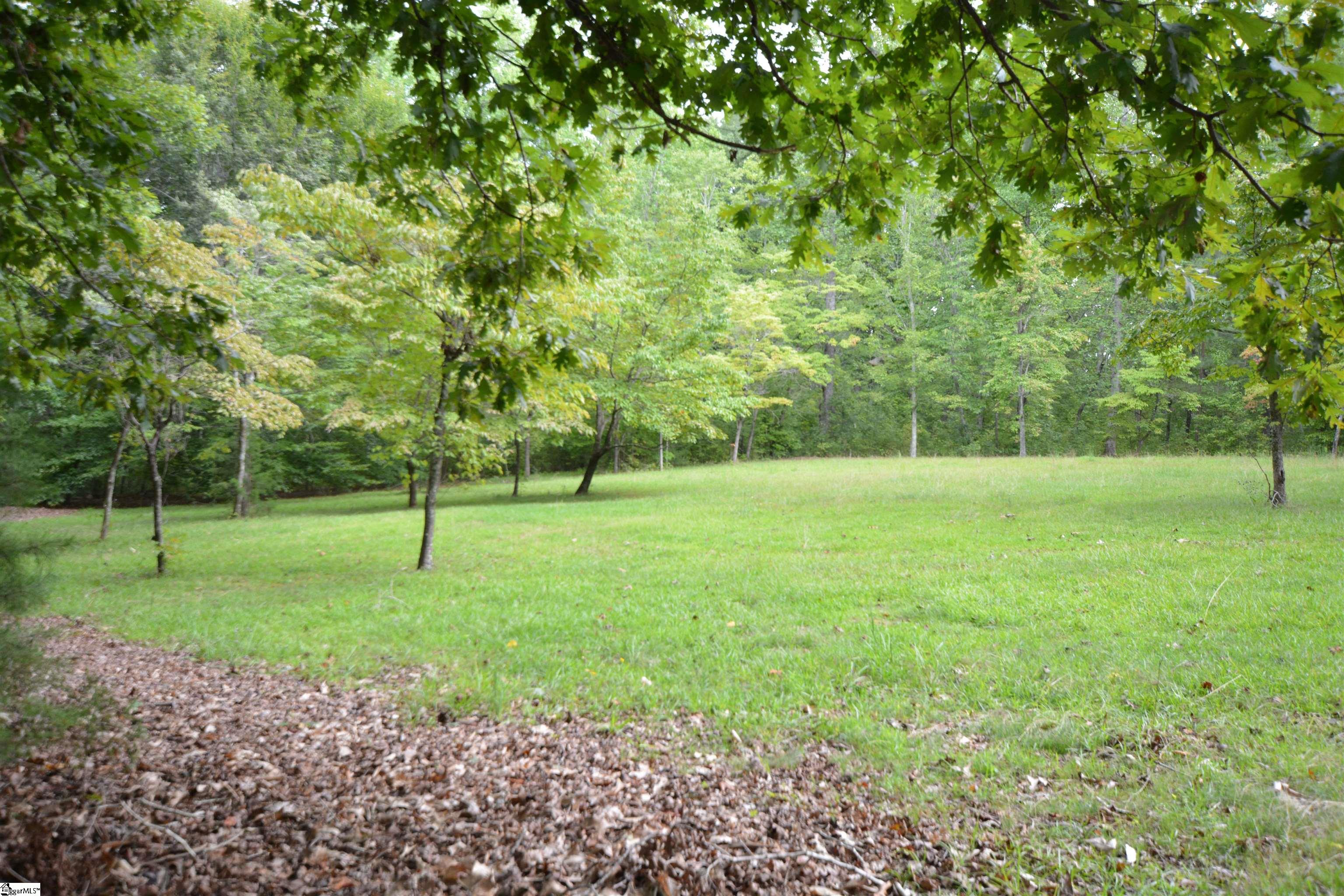 1010 Highway 14 Landrum, SC 29356 - Photo 21 of 27