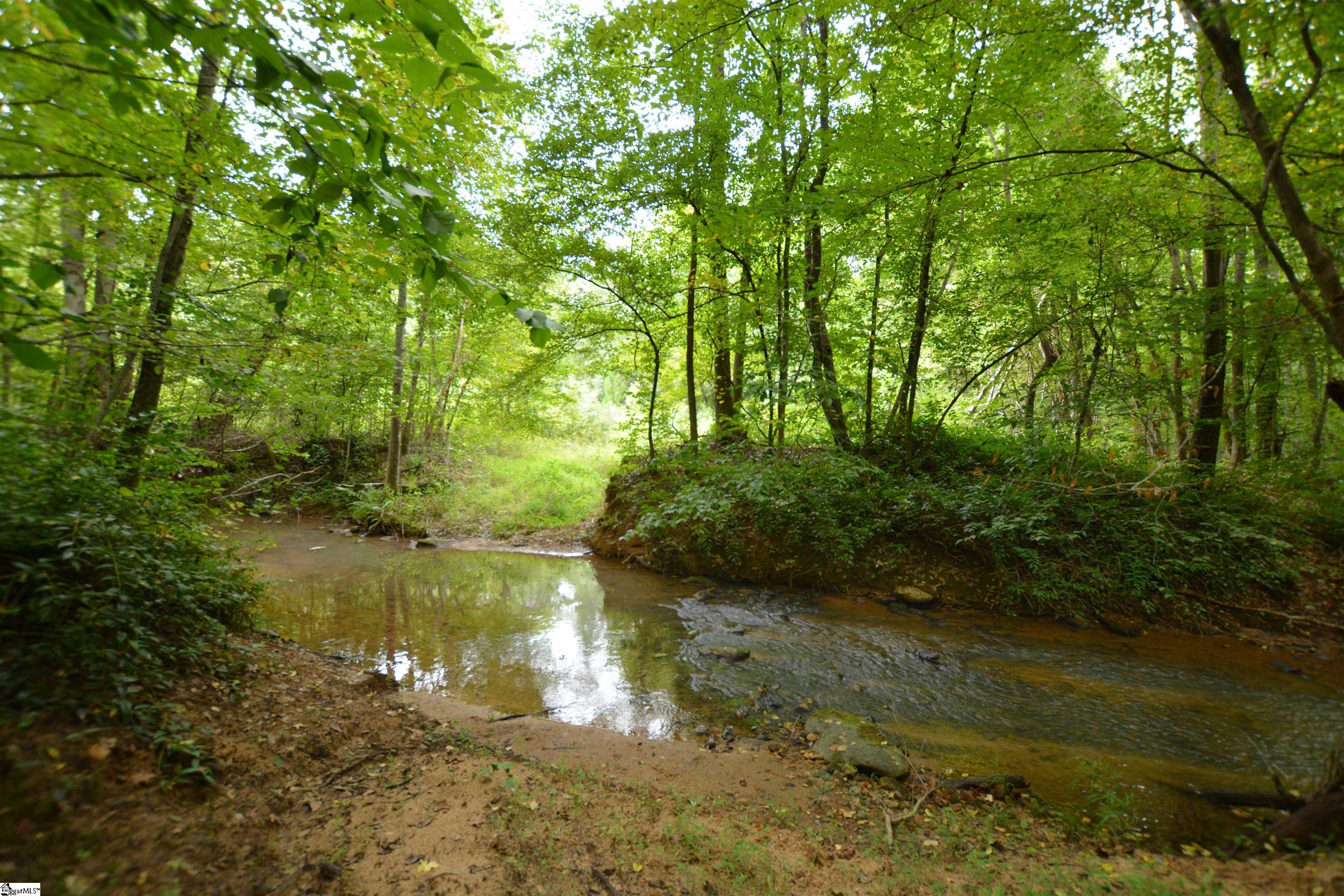 1010 Highway 14 Landrum, SC 29356 - Photo 26 of 27