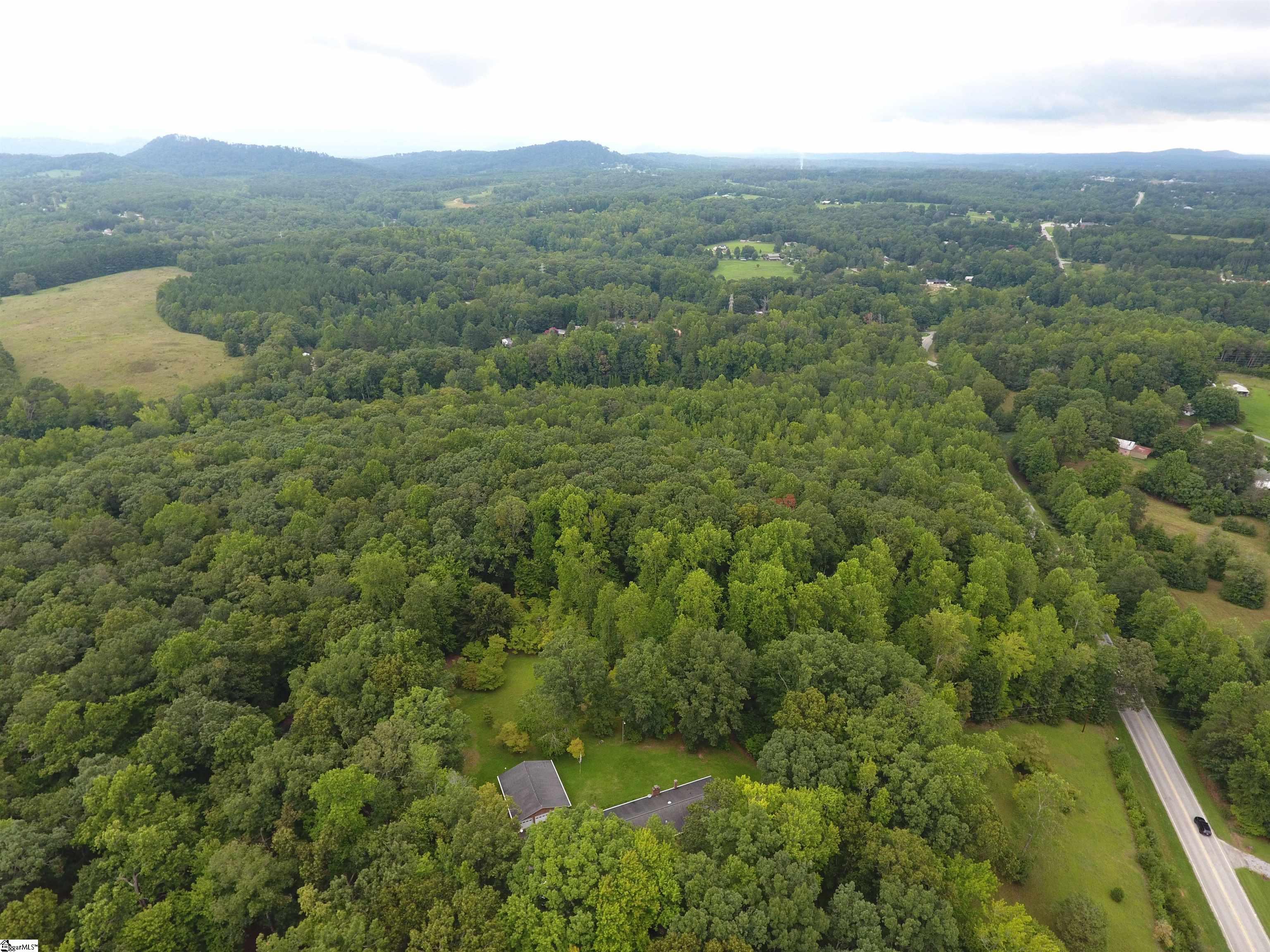 1010 Highway 14 Landrum, SC 29356 - Photo 10 of 27