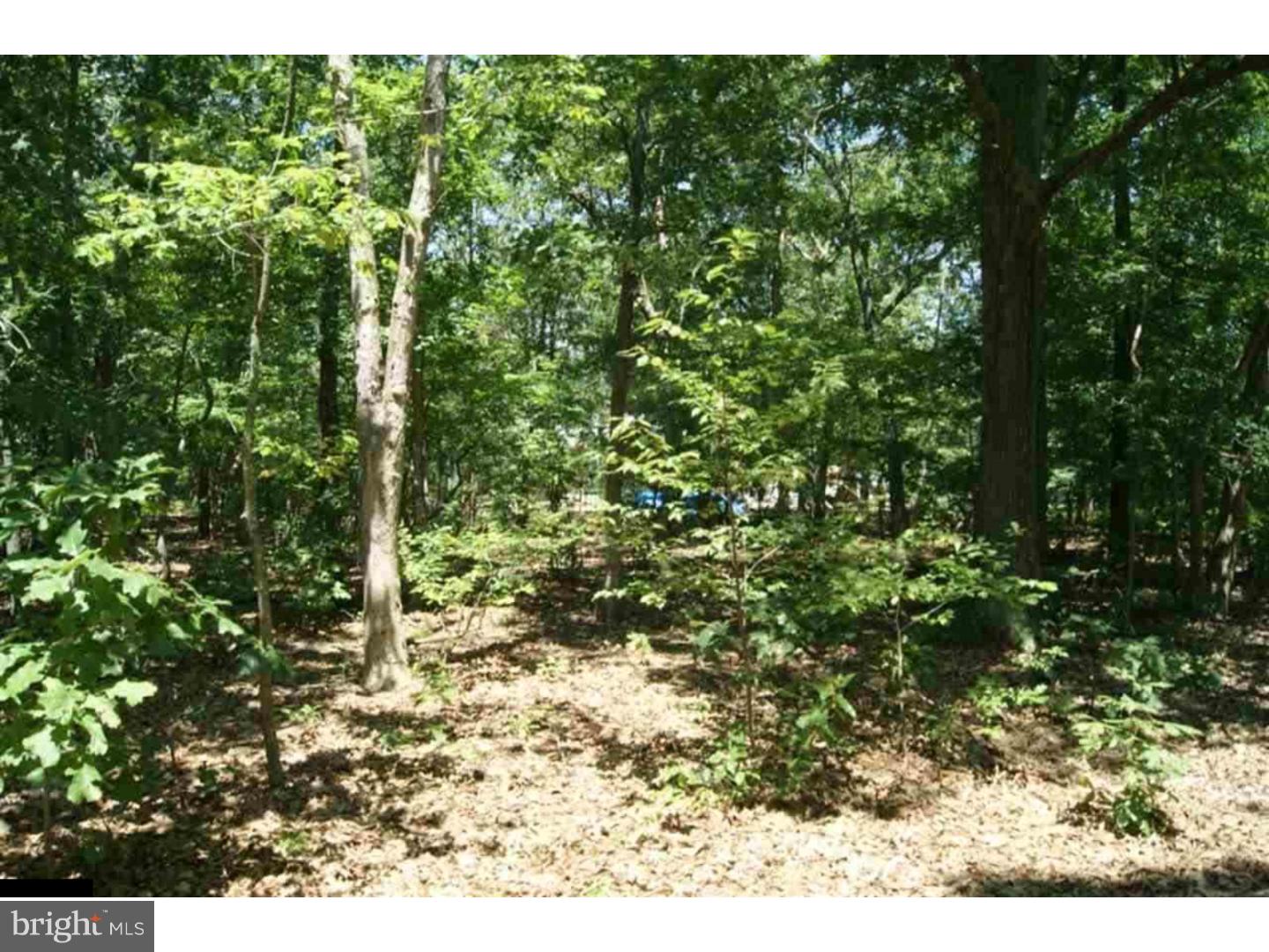 310 Canary Road Laurel Lake, NJ 08332 - Photo 1 of 3 Gallery Image 1